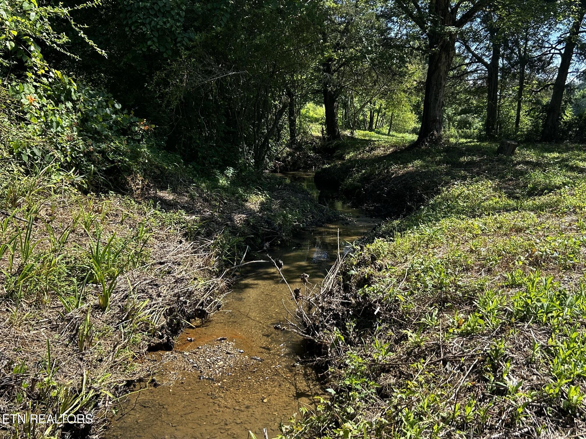 1060 County Road 130 Riceville TN 37370