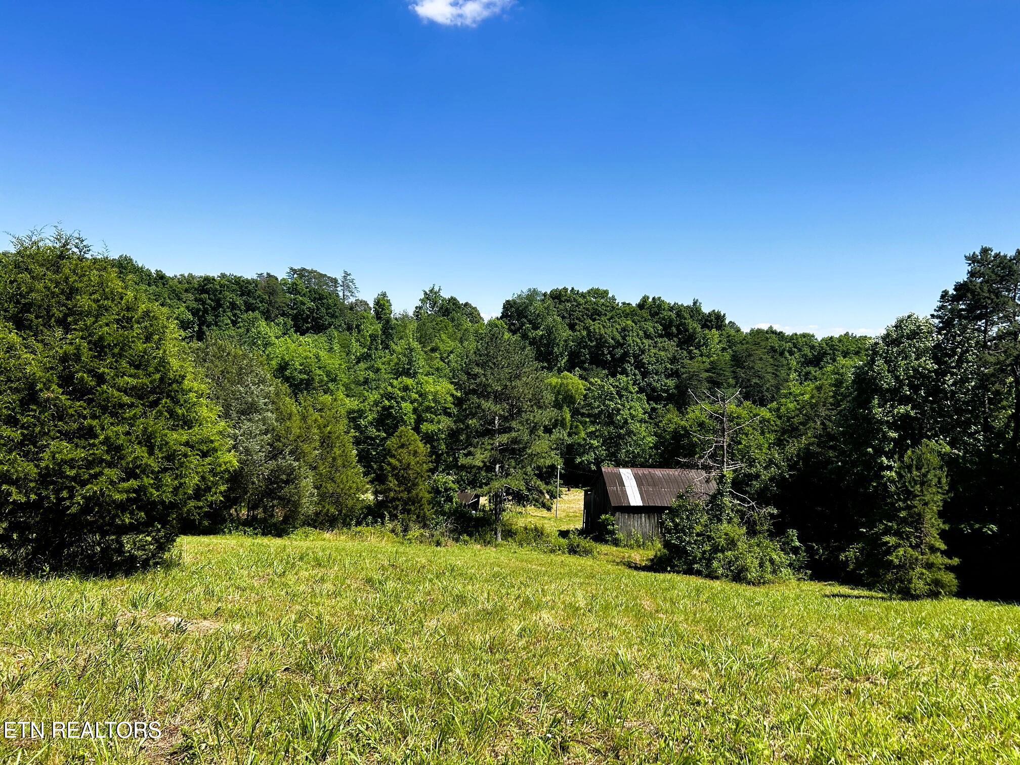 1060 County Road 130 Riceville TN 37370