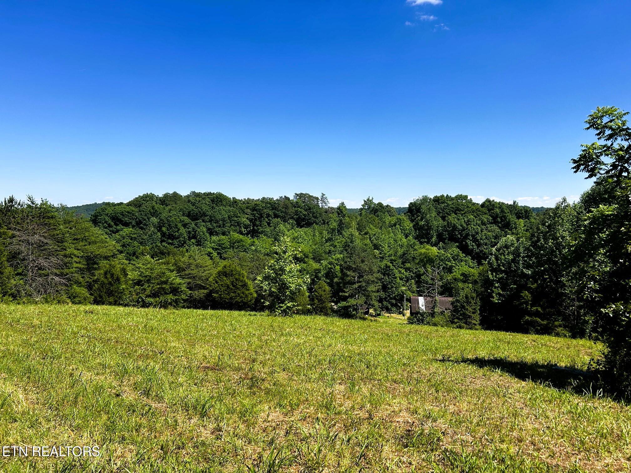 1060 County Road 130 Riceville TN 37370