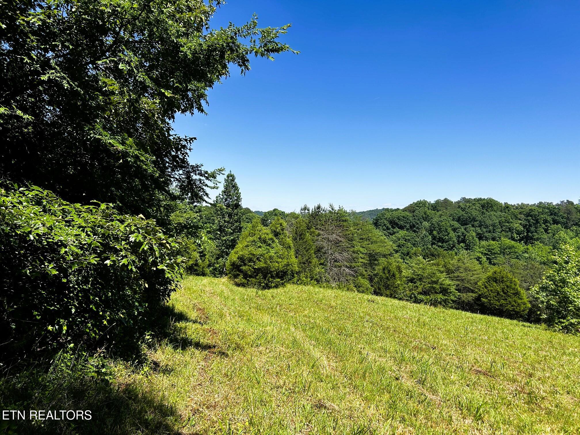1060 County Road 130 Riceville TN 37370