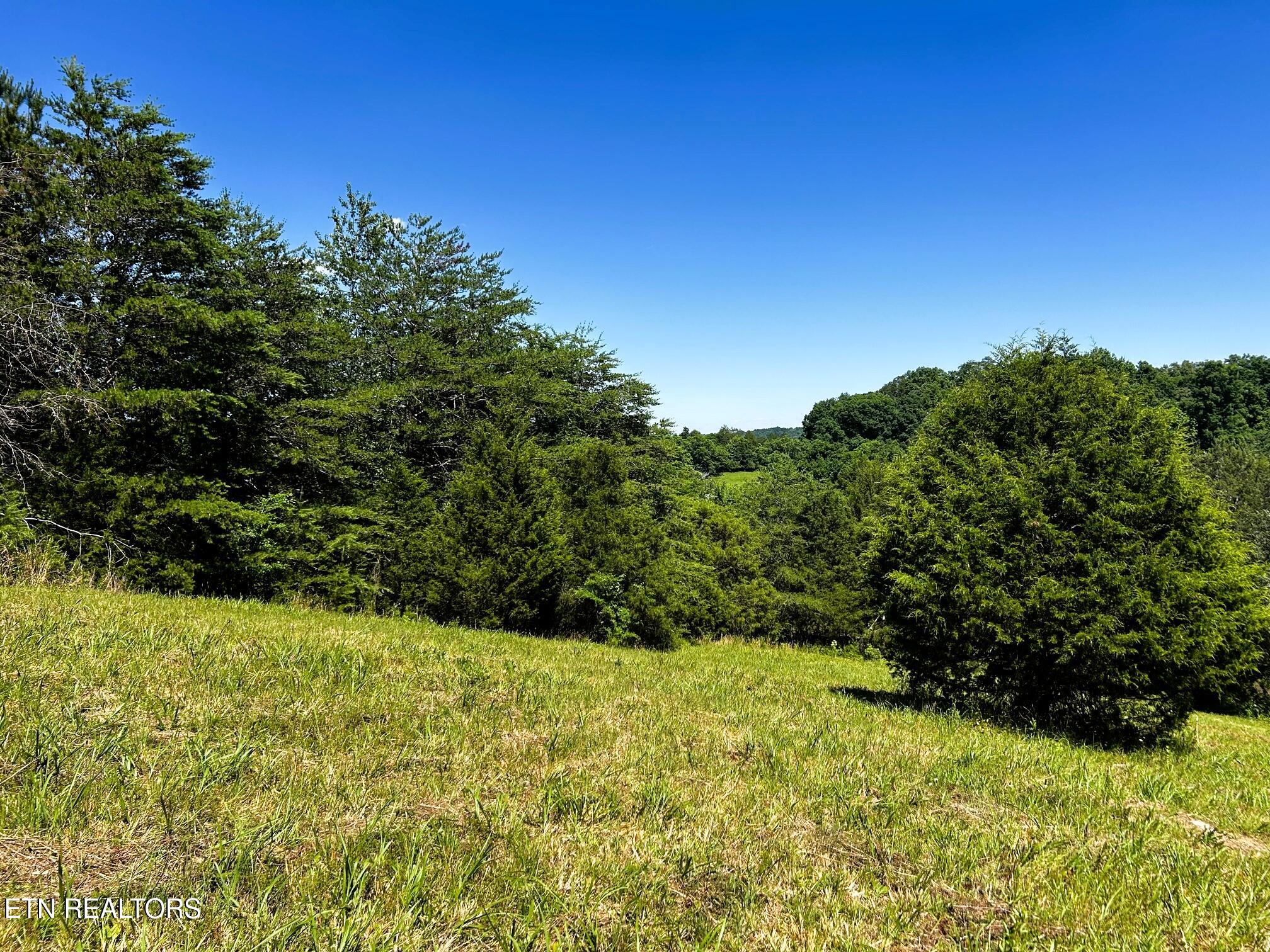 1060 County Road 130 Riceville TN 37370