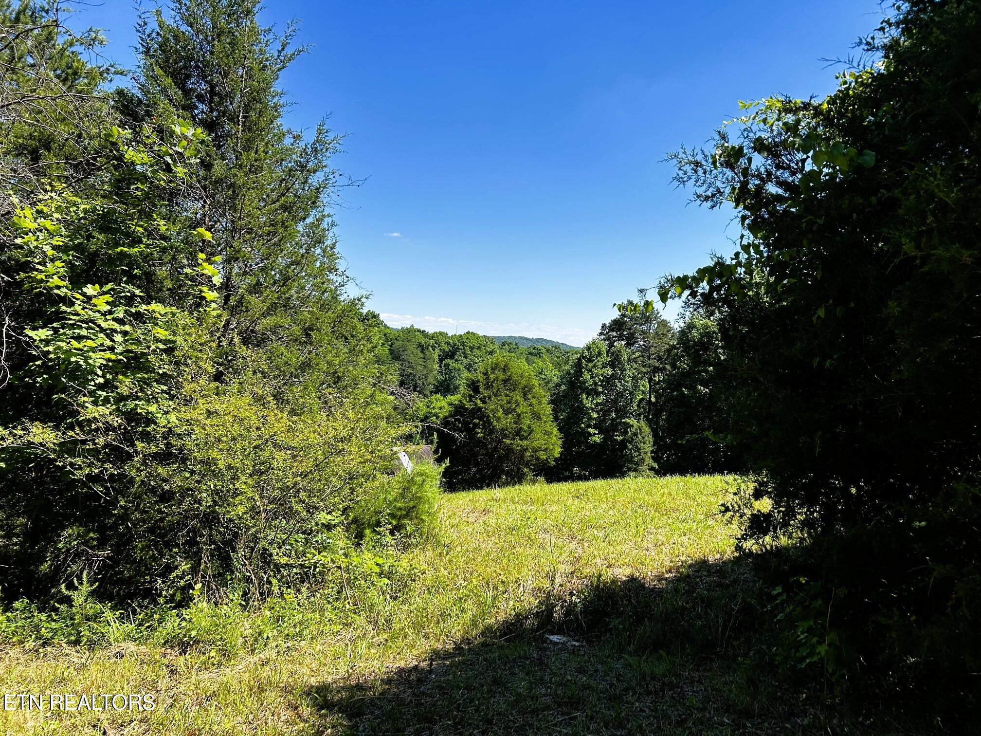 1060 County Road 130 Riceville TN 37370