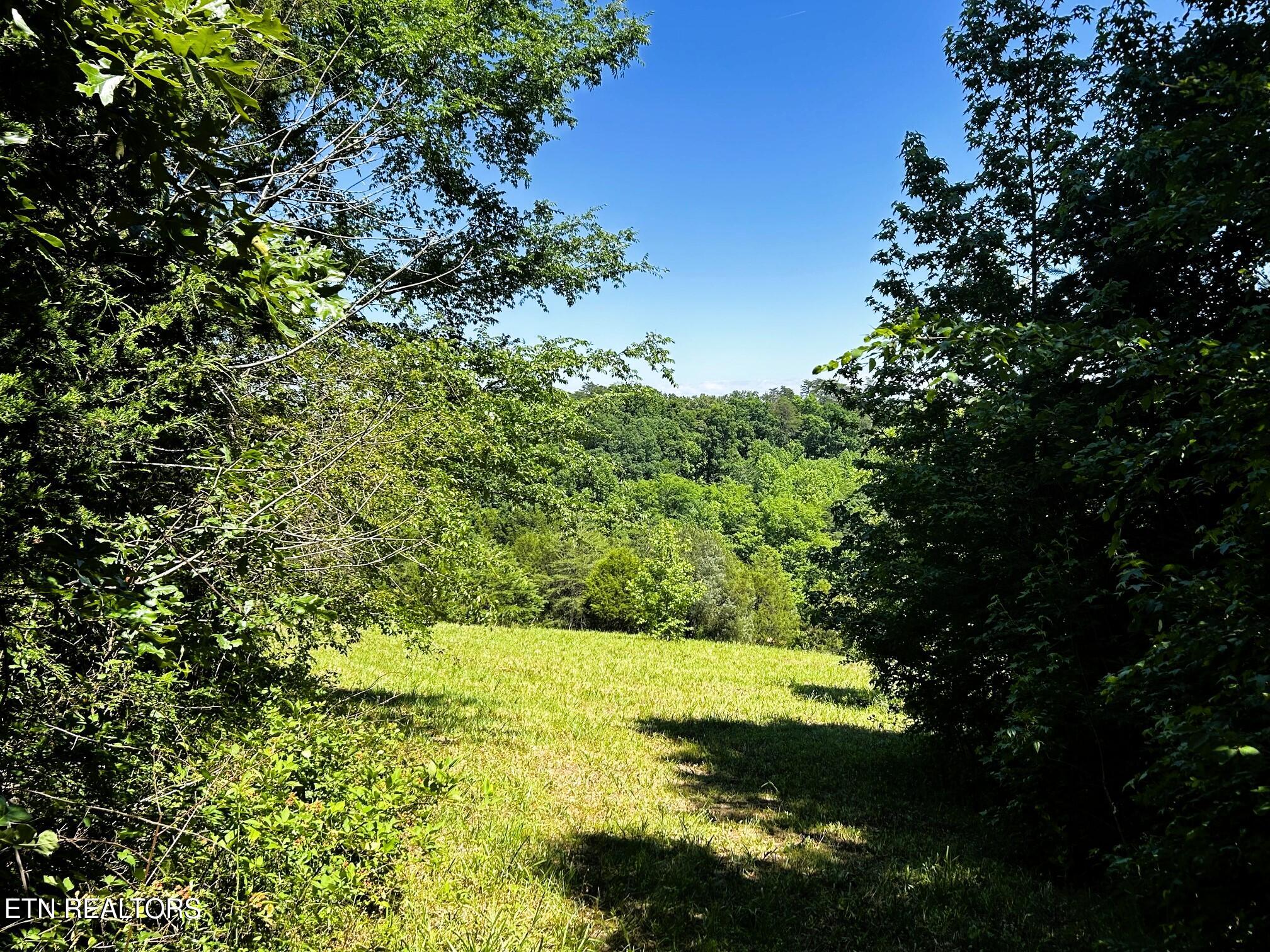 1060 County Road 130 Riceville TN 37370