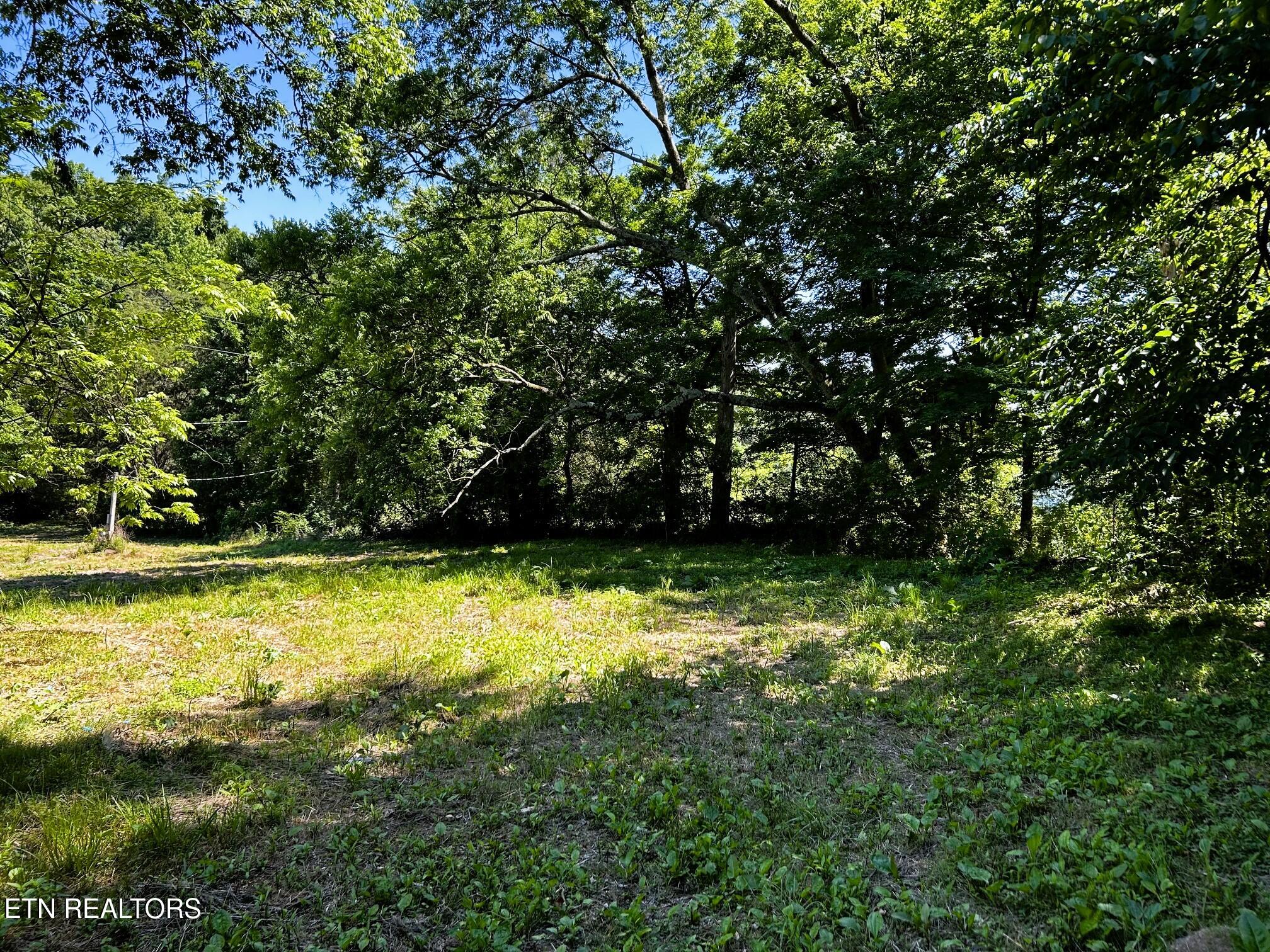 1060 County Road 130 Riceville TN 37370