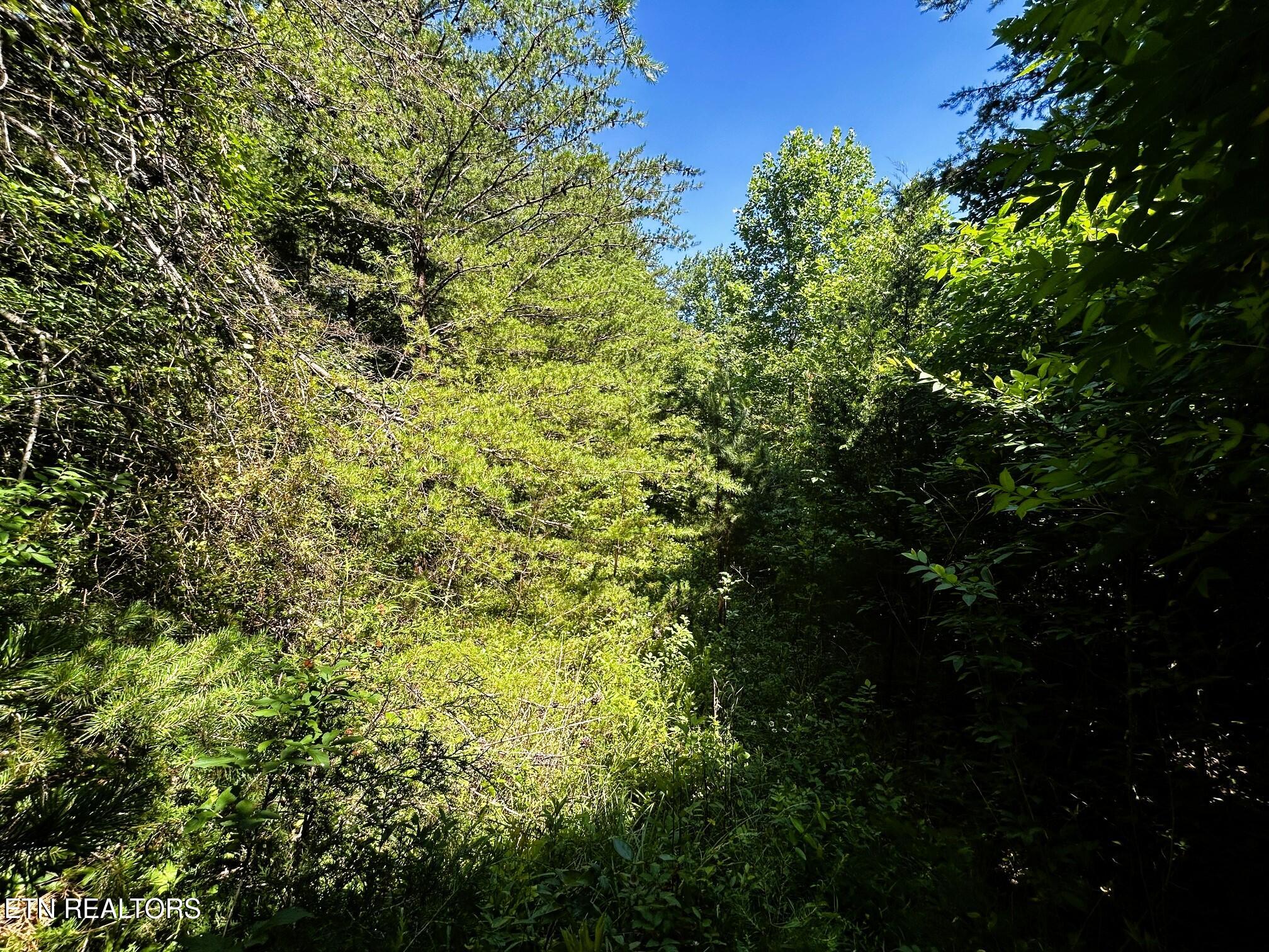 1060 County Road 130 Riceville TN 37370
