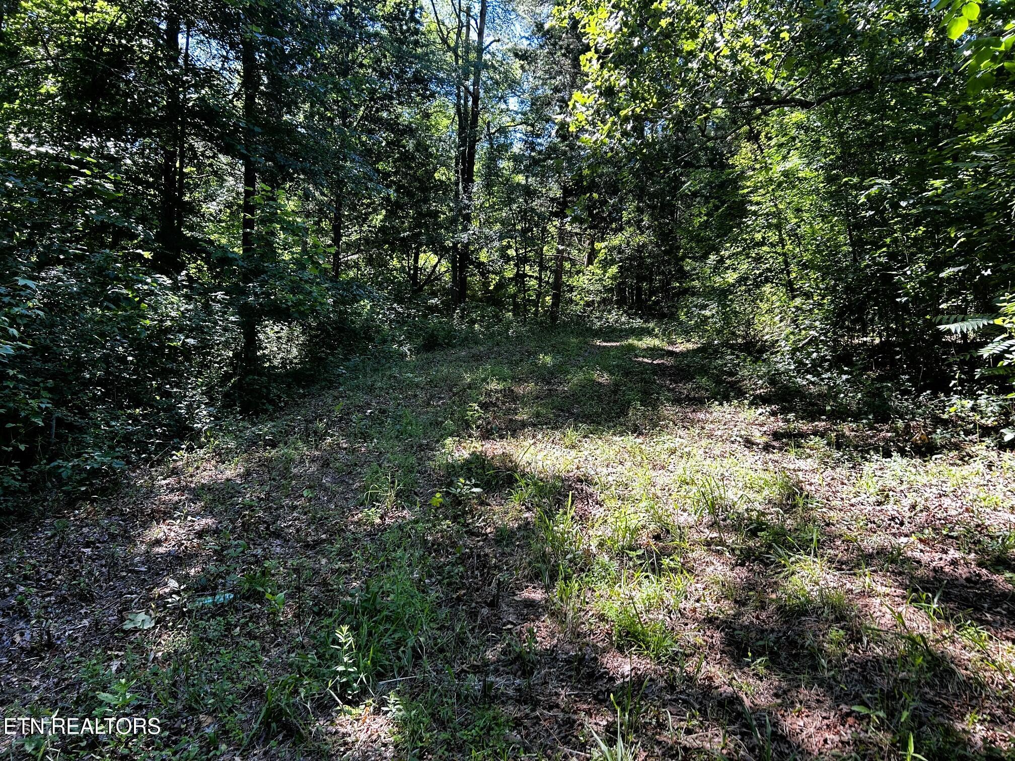 1060 County Road 130 Riceville TN 37370