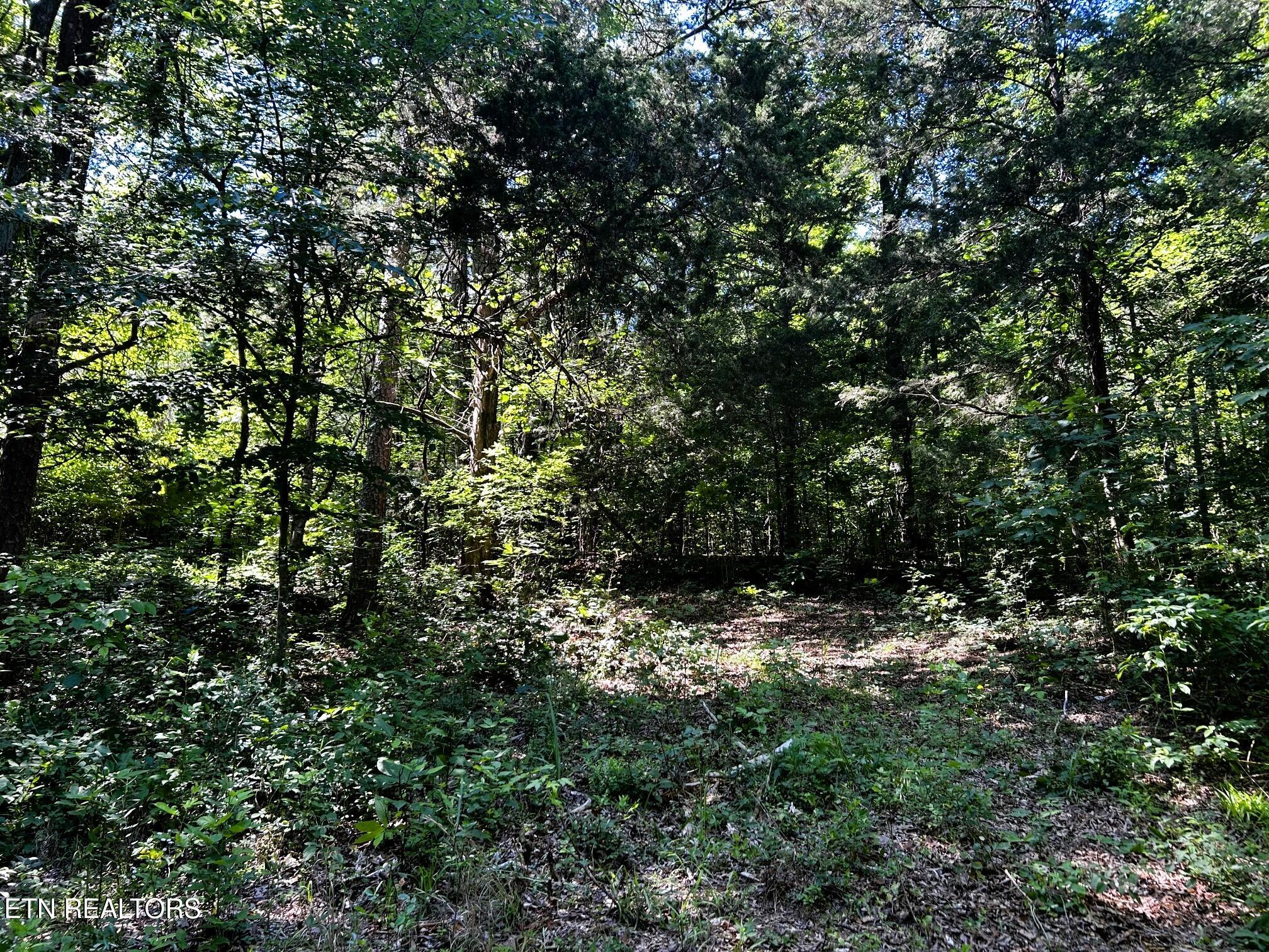 1060 County Road 130 Riceville TN 37370