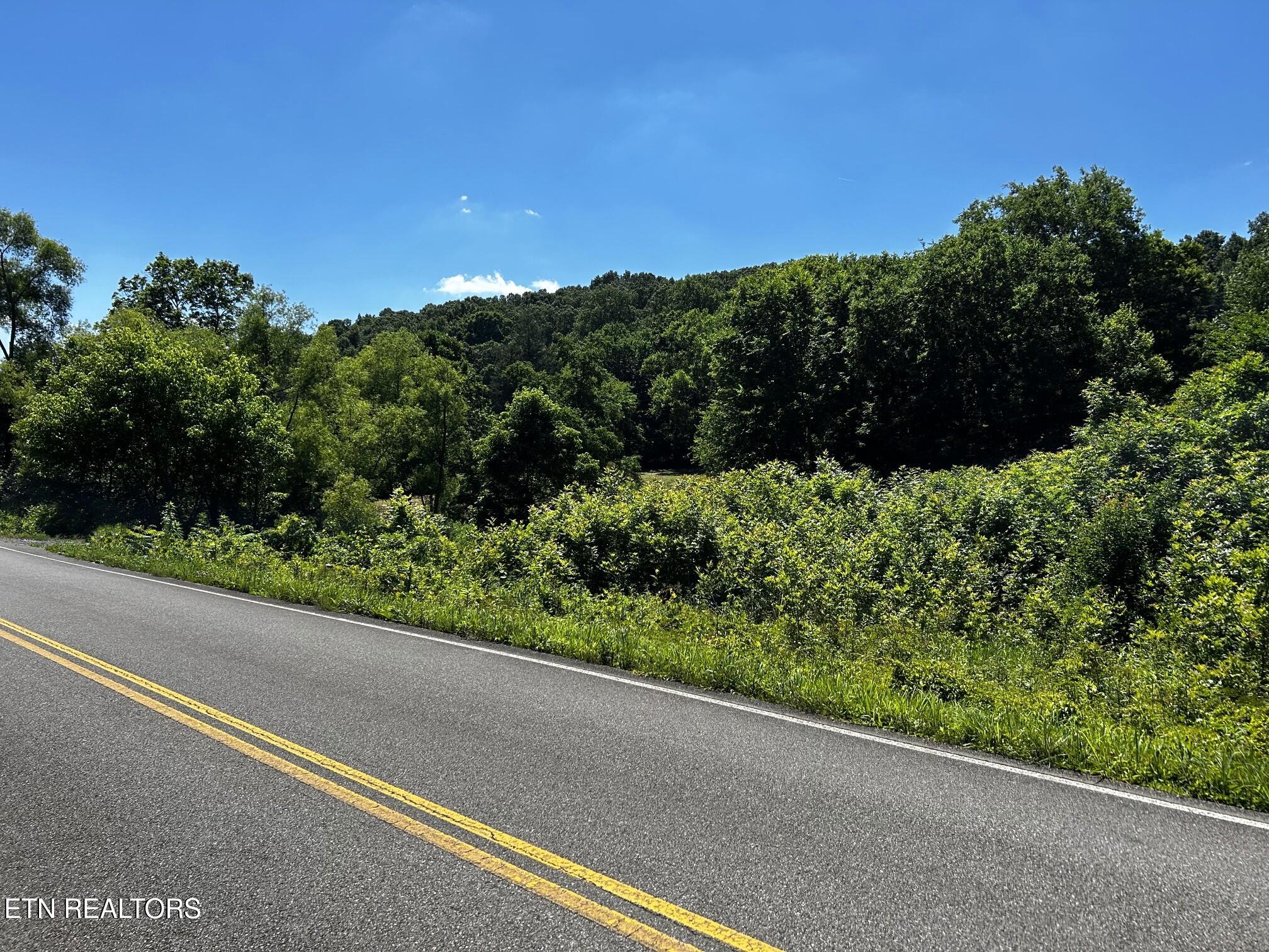 1060 County Road 130 Riceville TN 37370
