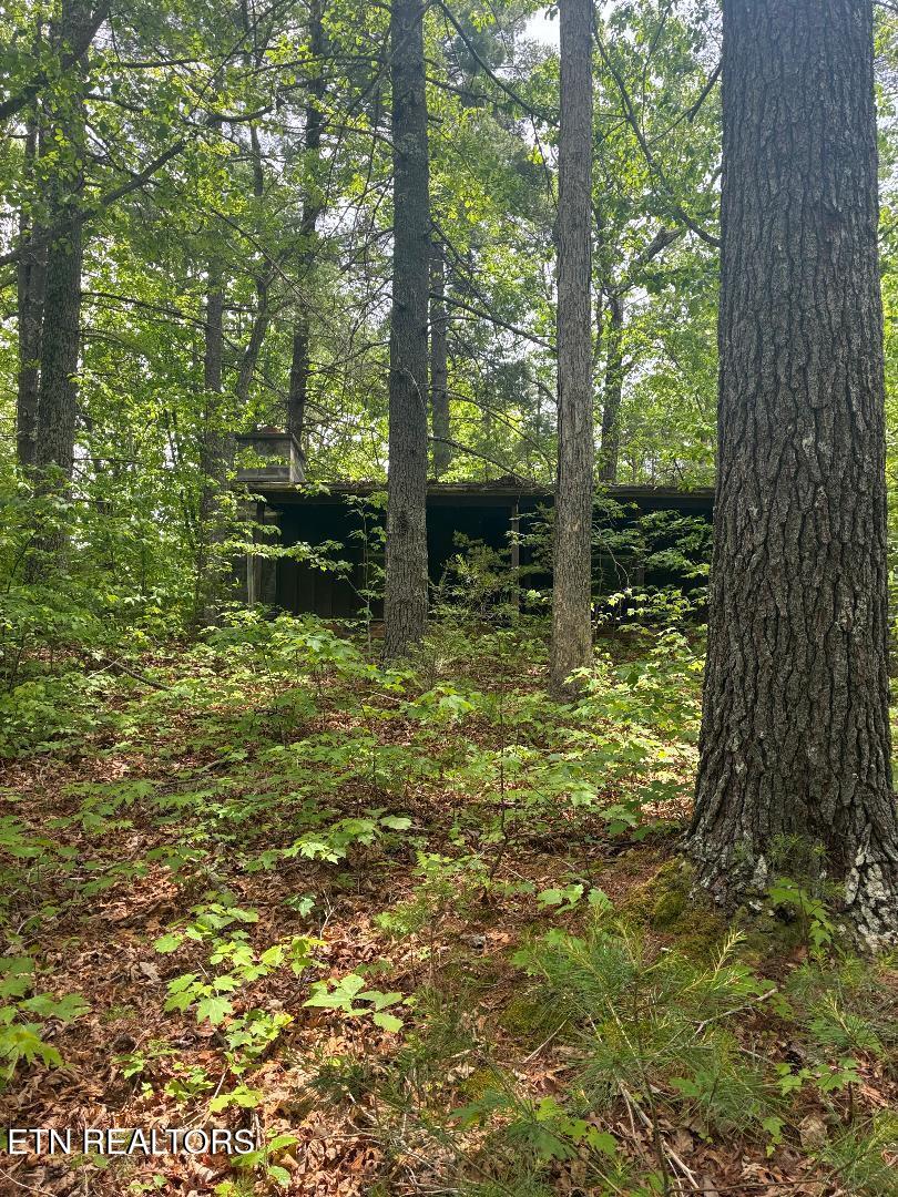 Mount Pleasant Road Vonore TN 37885