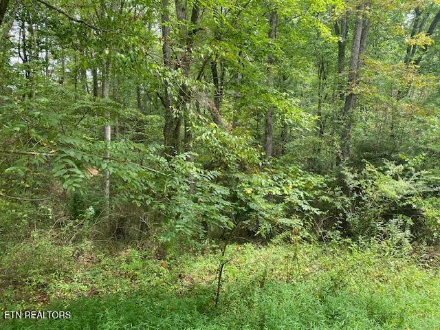 35 Ottoma Drive Crossville TN 38555