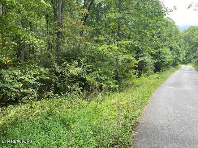 35 Ottoma Drive Crossville TN 38555