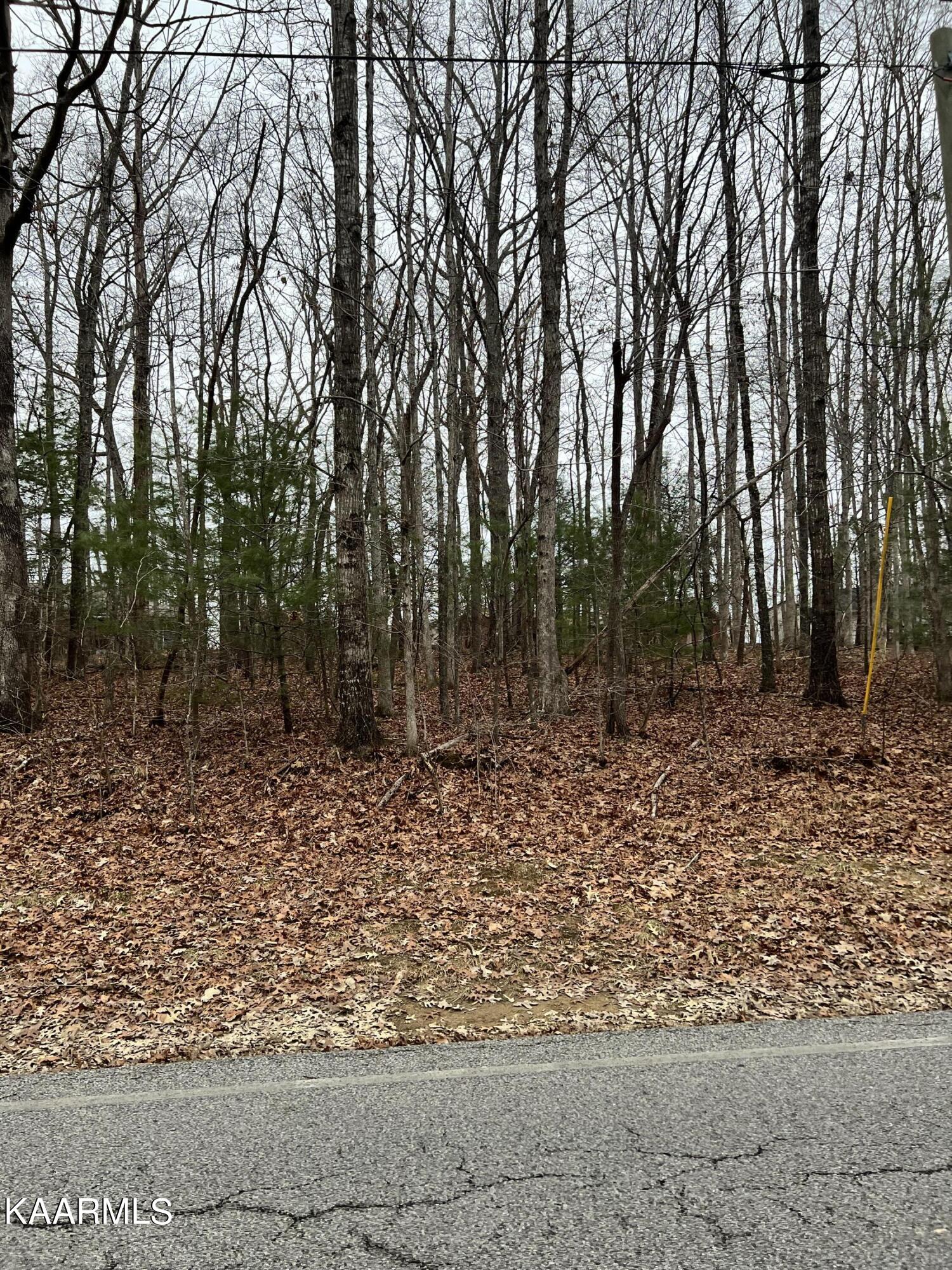 238 St. George Drive Crossville TN 38558