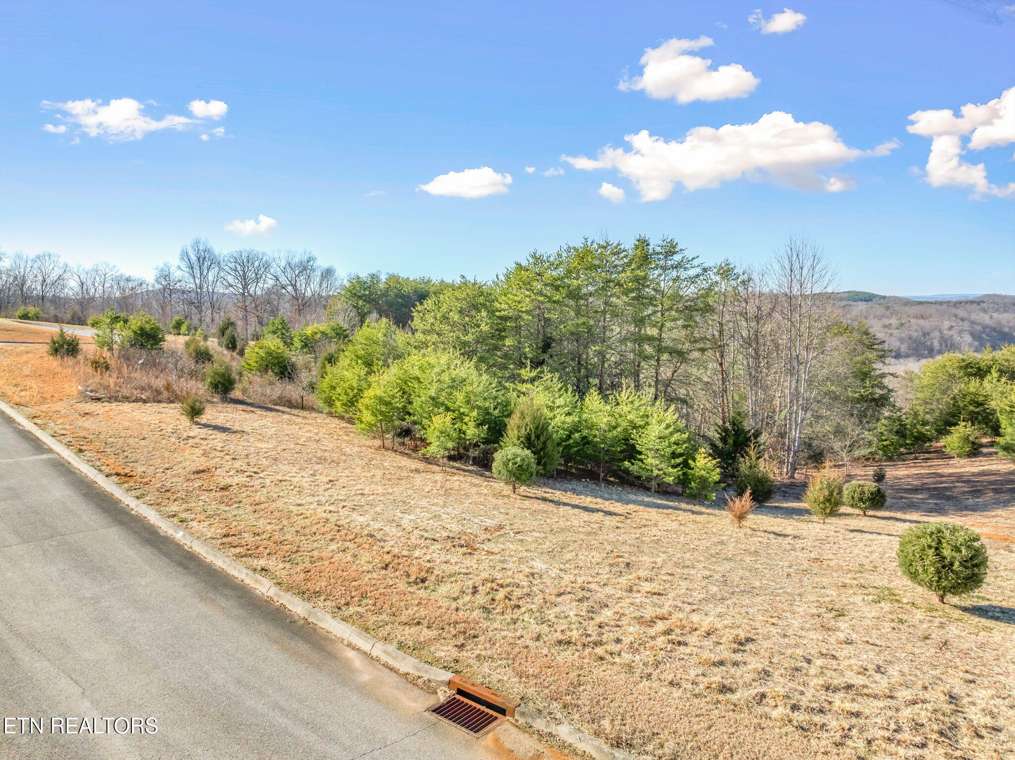Melea Lane Kingston TN 37763