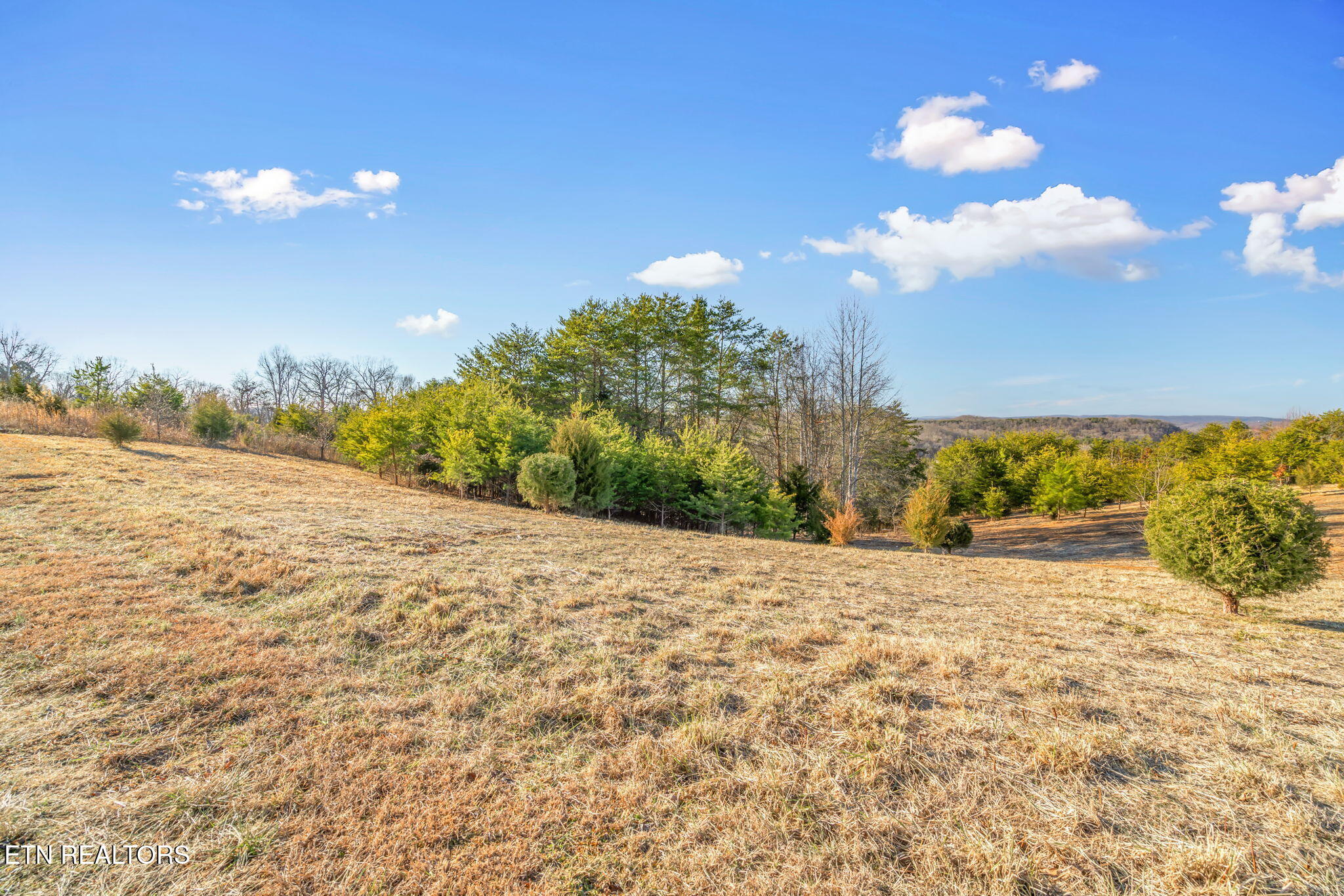 Melea Lane Kingston TN 37763