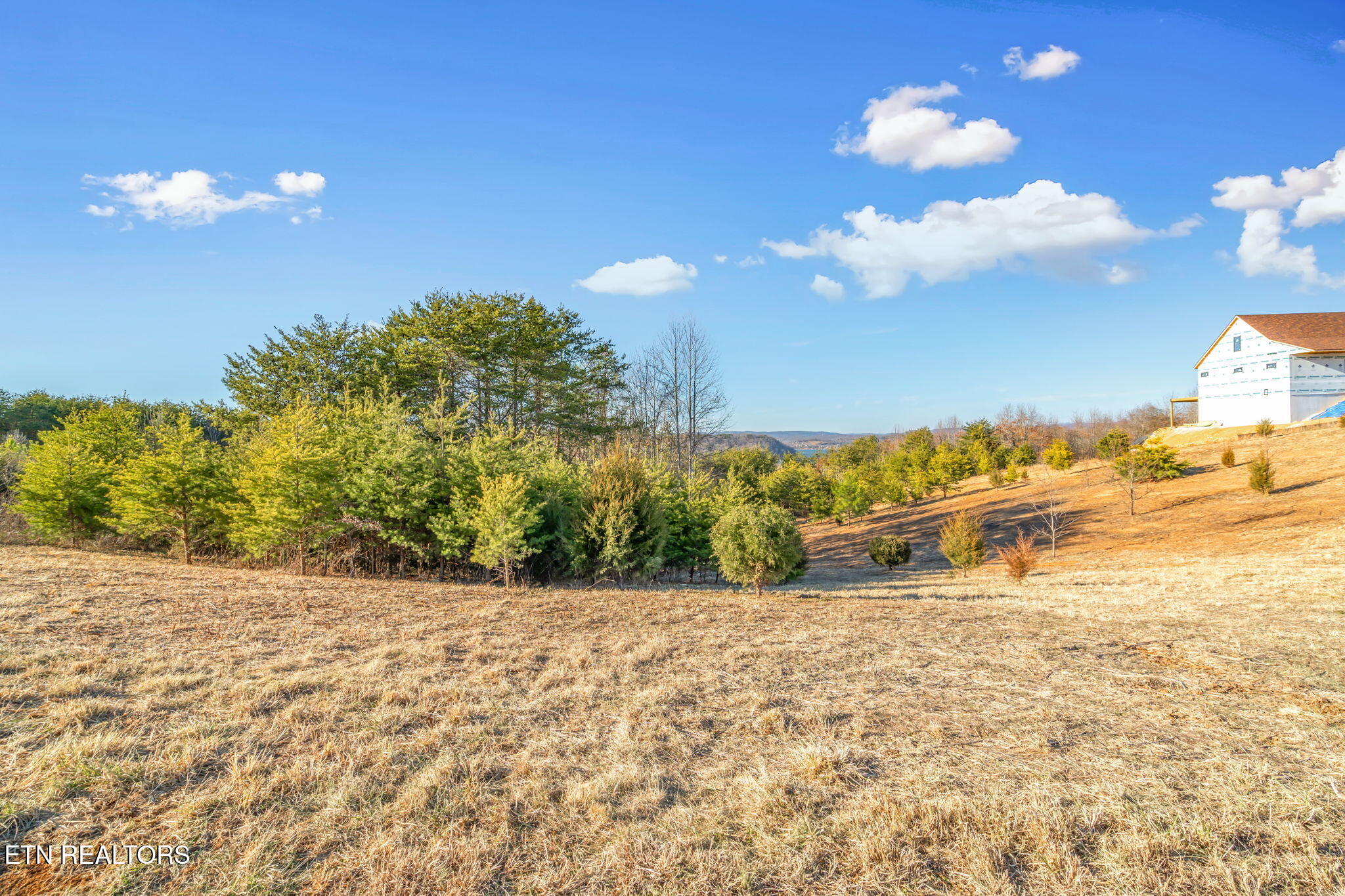 Melea Lane Kingston TN 37763