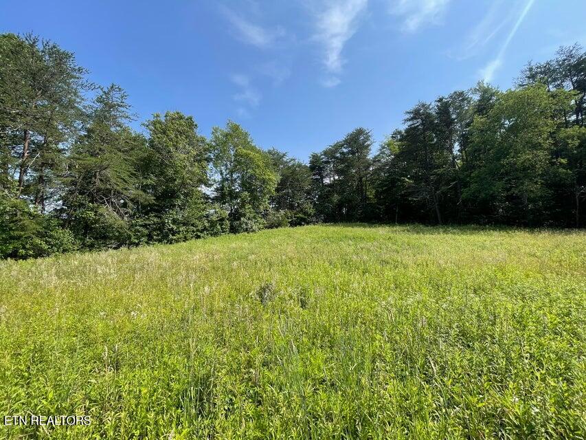 4750 Thomas And Smith Road Pikeville TN 37367