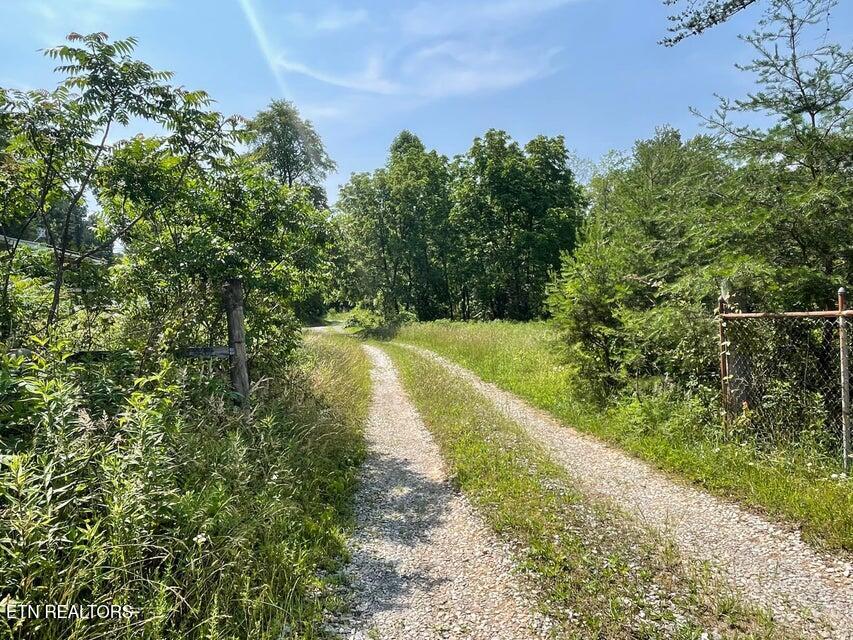 4750 Thomas And Smith Road Pikeville TN 37367