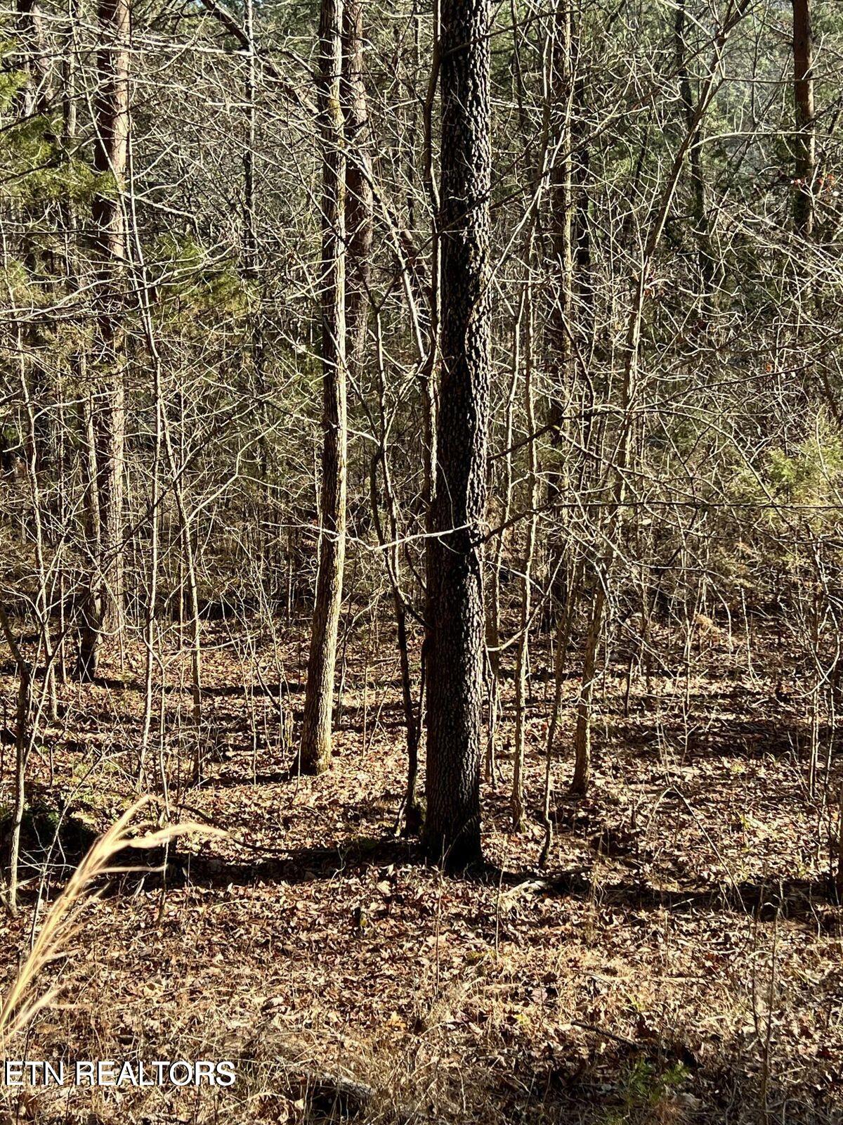 Laurel Lake Circle Lot 43 Madisonville TN 37354