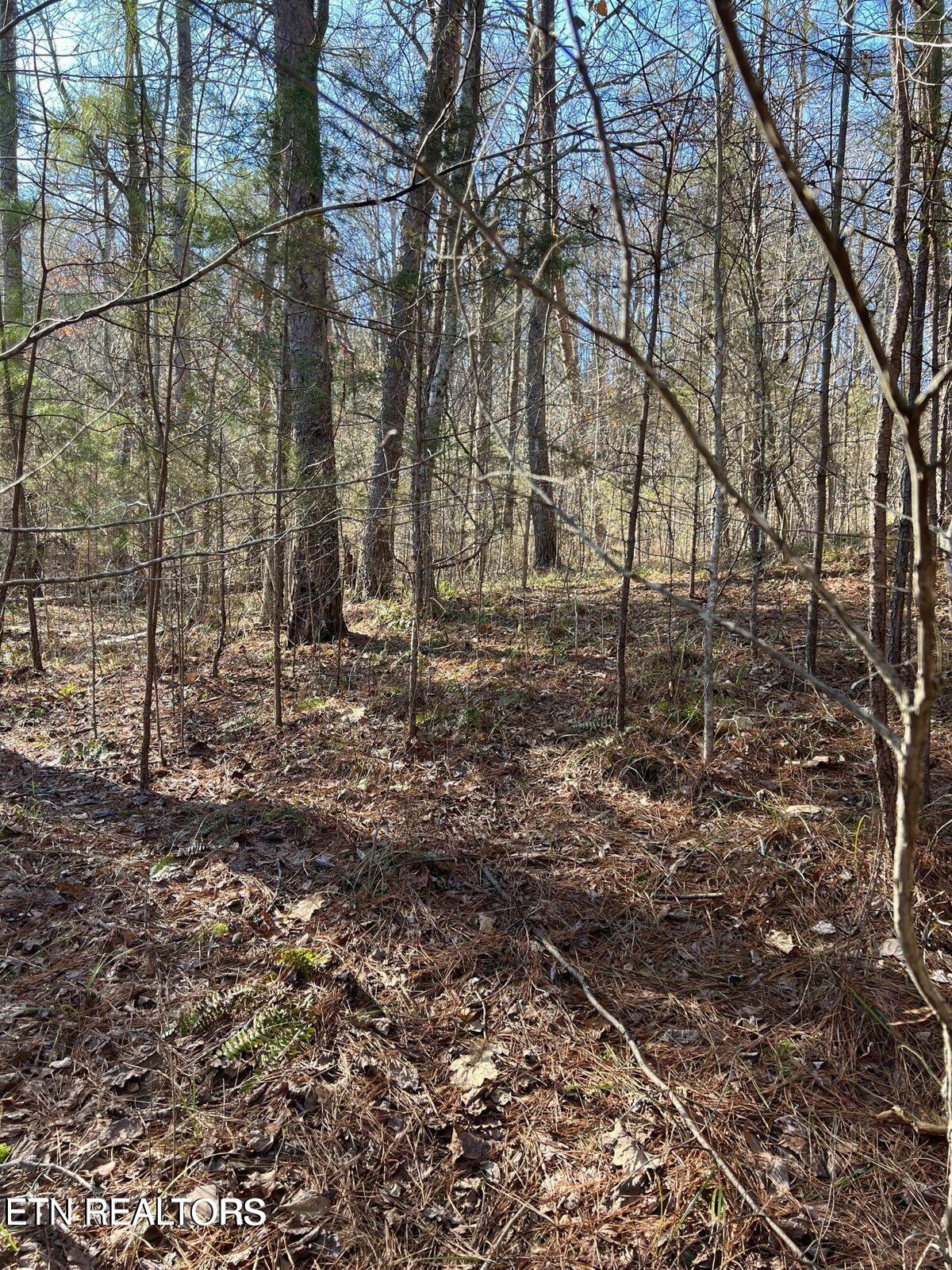 Laurel Lake Circle Lot 43 Madisonville TN 37354