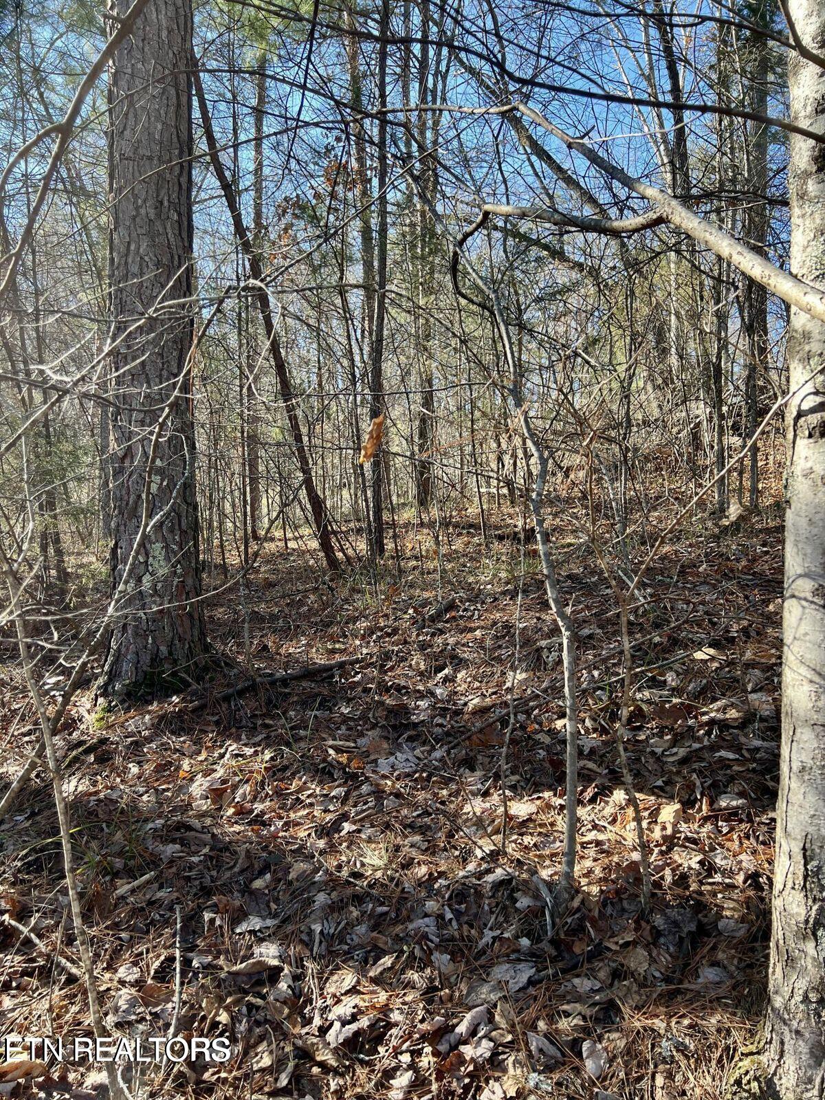 Laurel Lake Circle Lot 43 Madisonville TN 37354