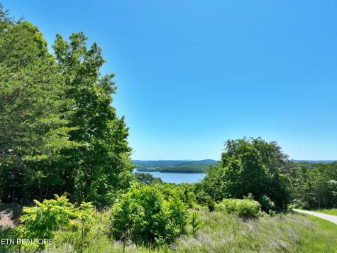 0 Flint Ridge Road Rockwood TN 37854