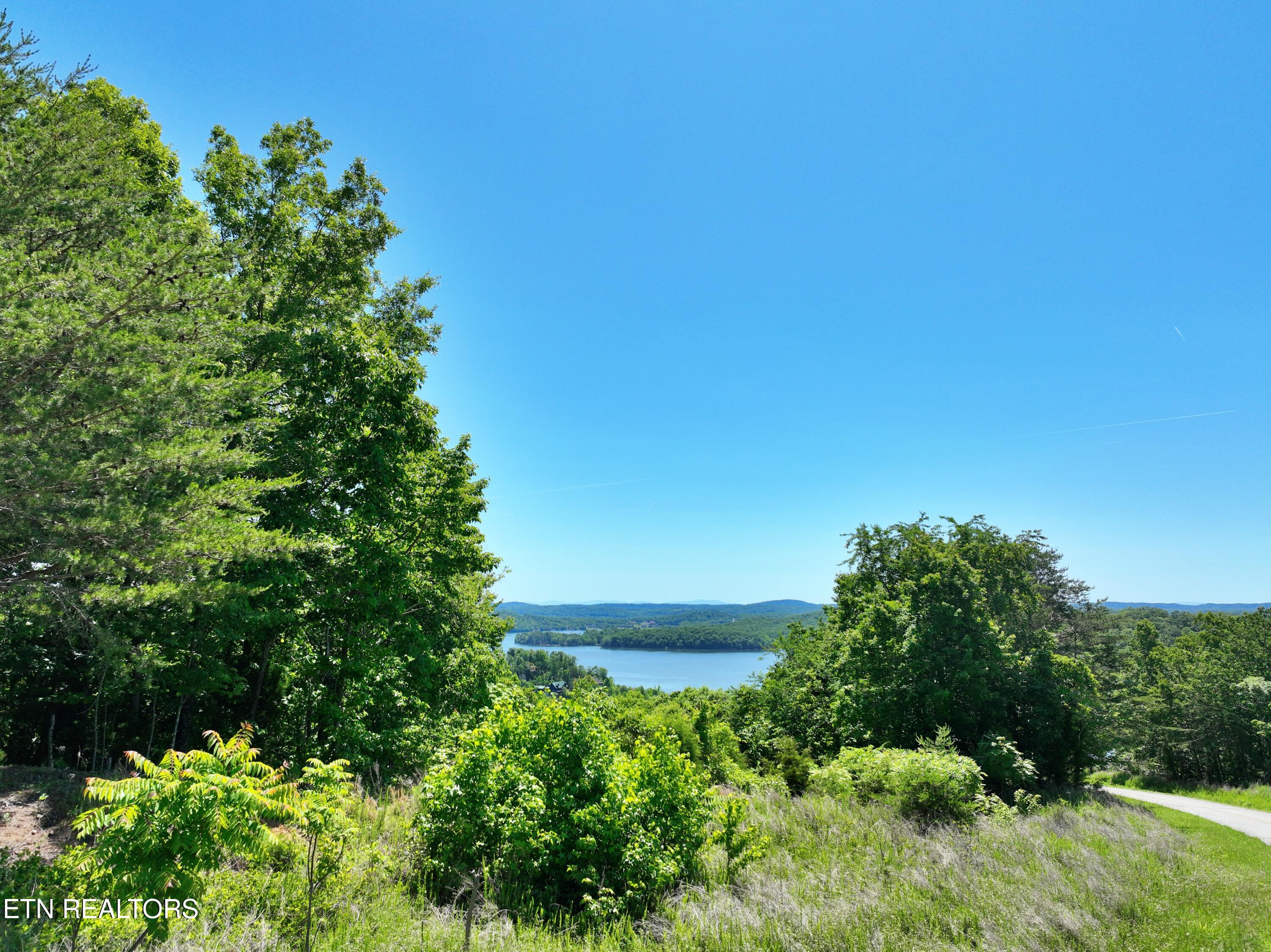 0 Flint Ridge Road Rockwood TN 37854