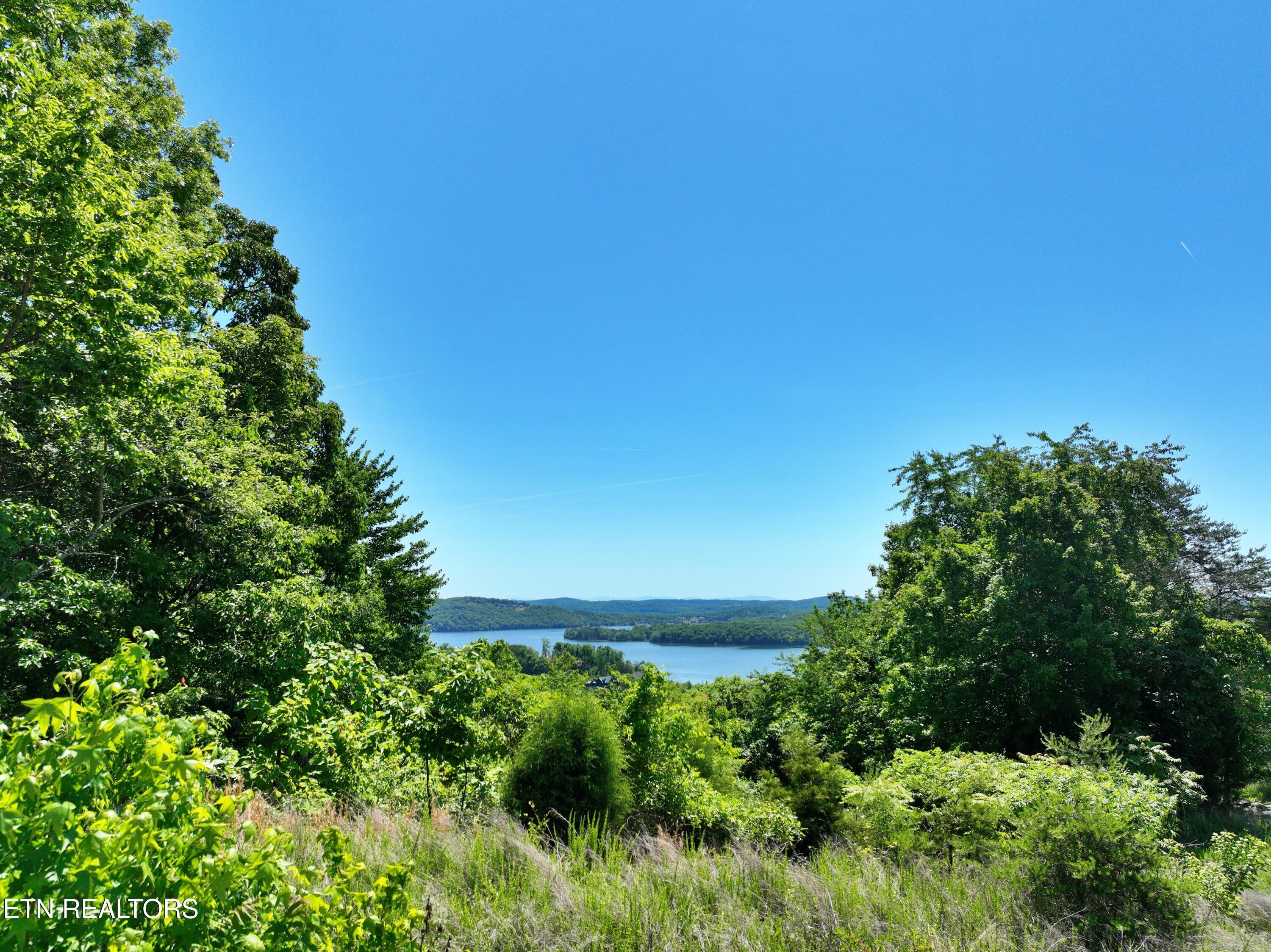 0 Flint Ridge Road Rockwood TN 37854