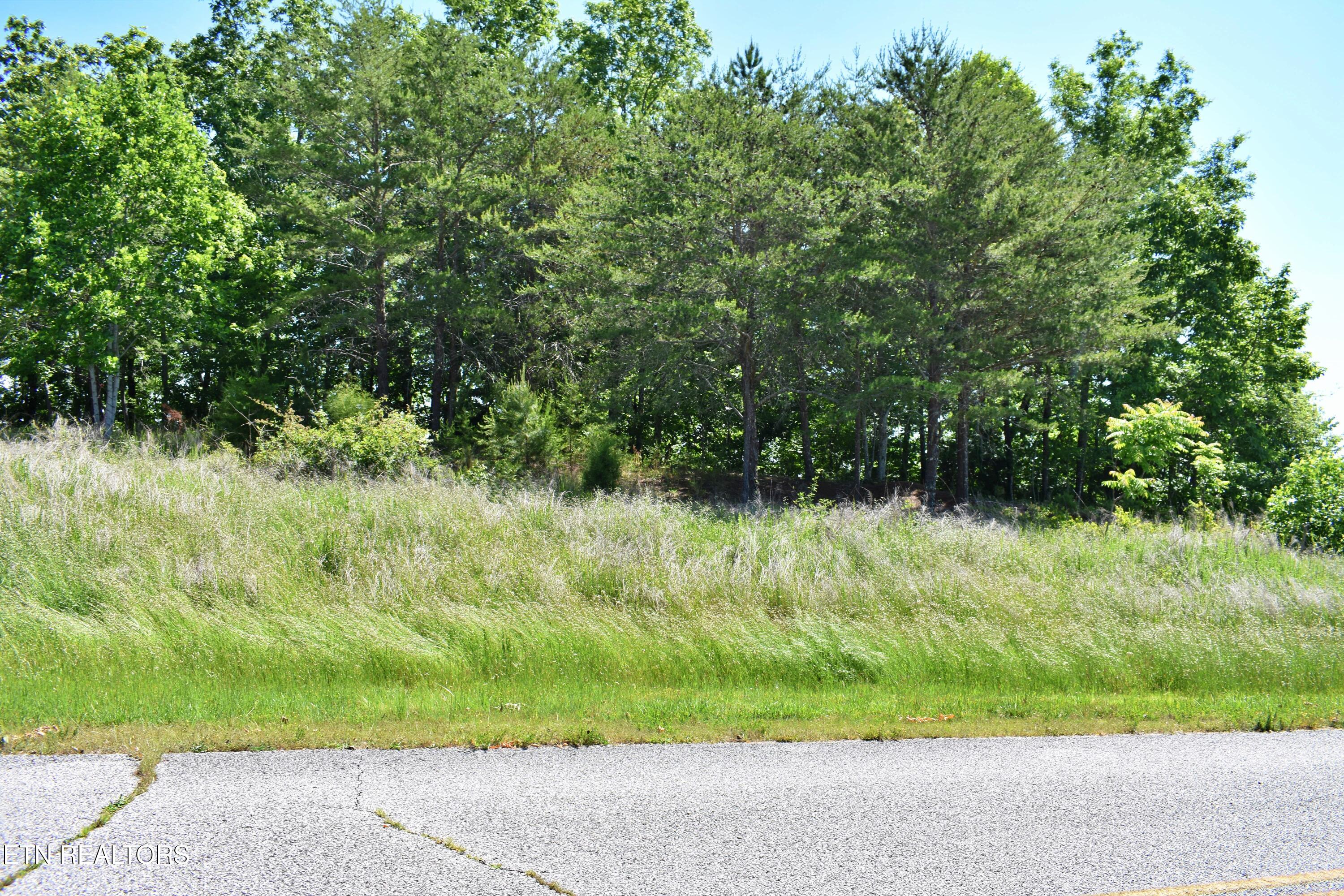 0 Flint Ridge Road Rockwood TN 37854