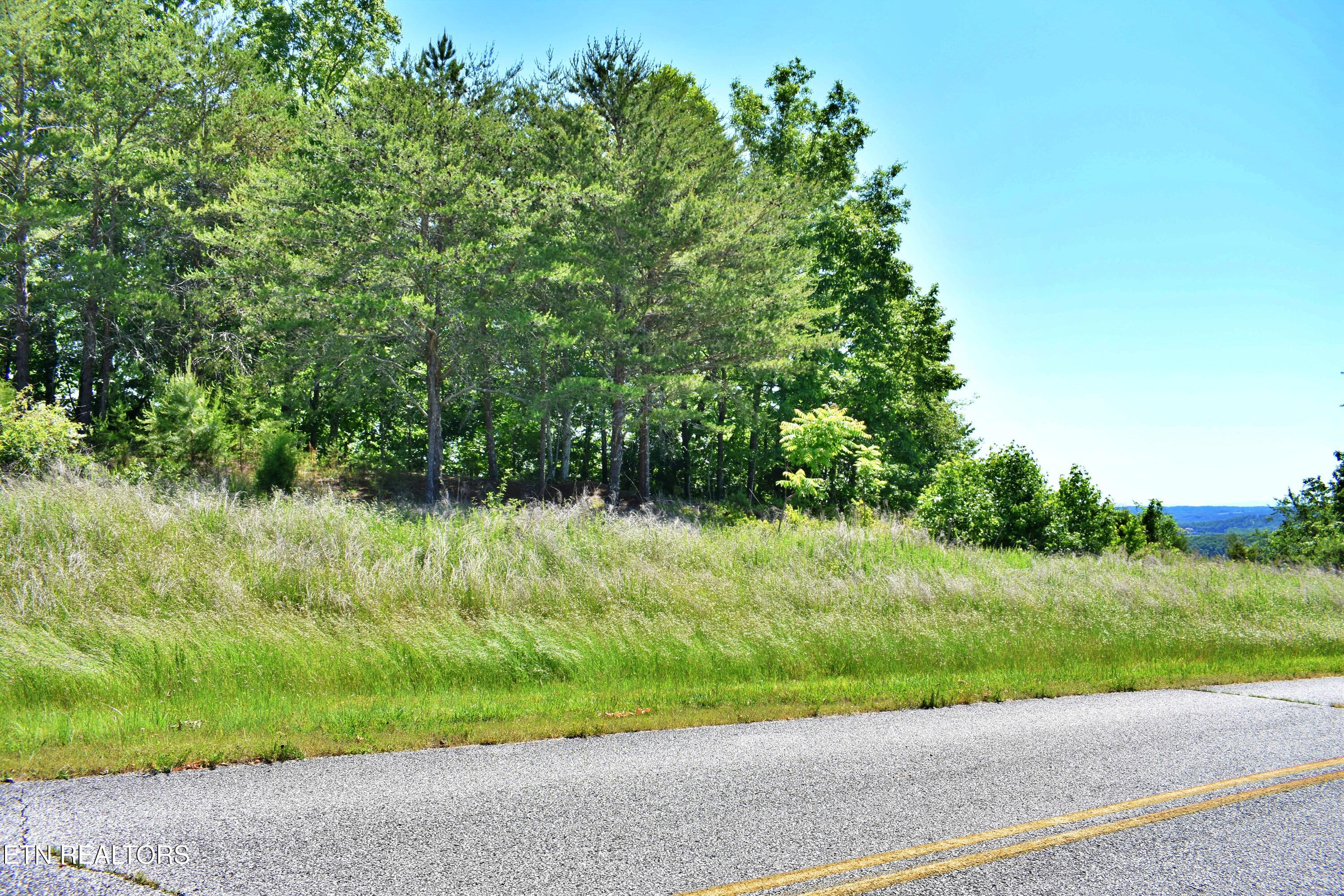0 Flint Ridge Road Rockwood TN 37854