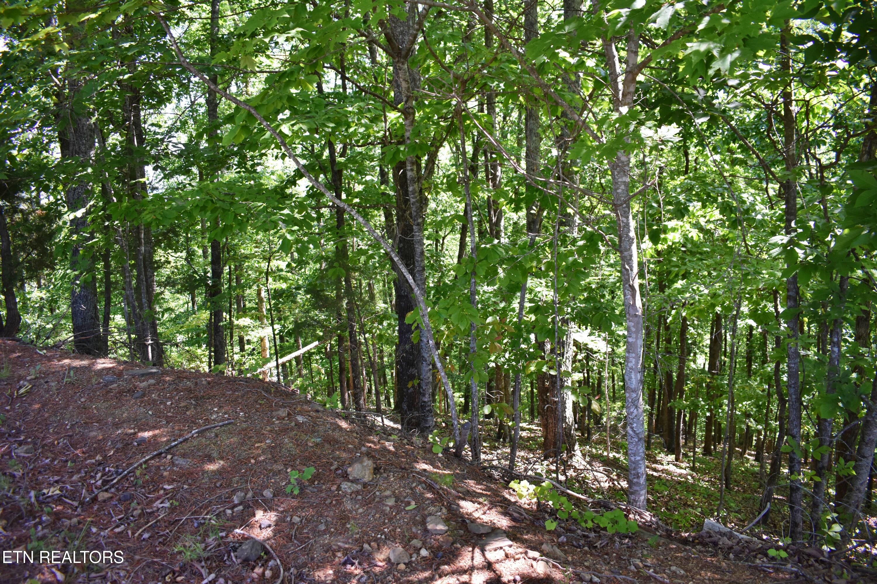0 Flint Ridge Road Rockwood TN 37854