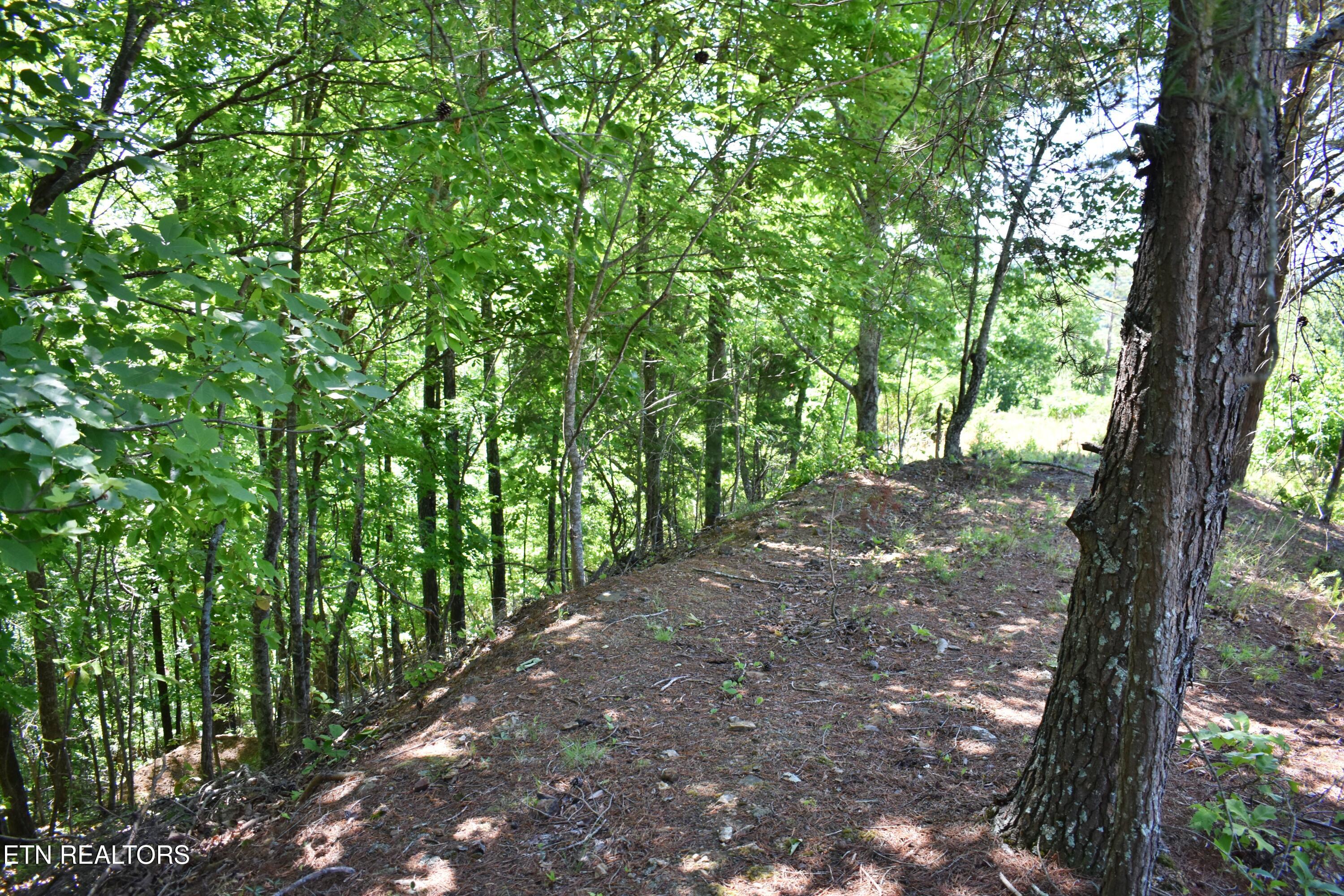 0 Flint Ridge Road Rockwood TN 37854