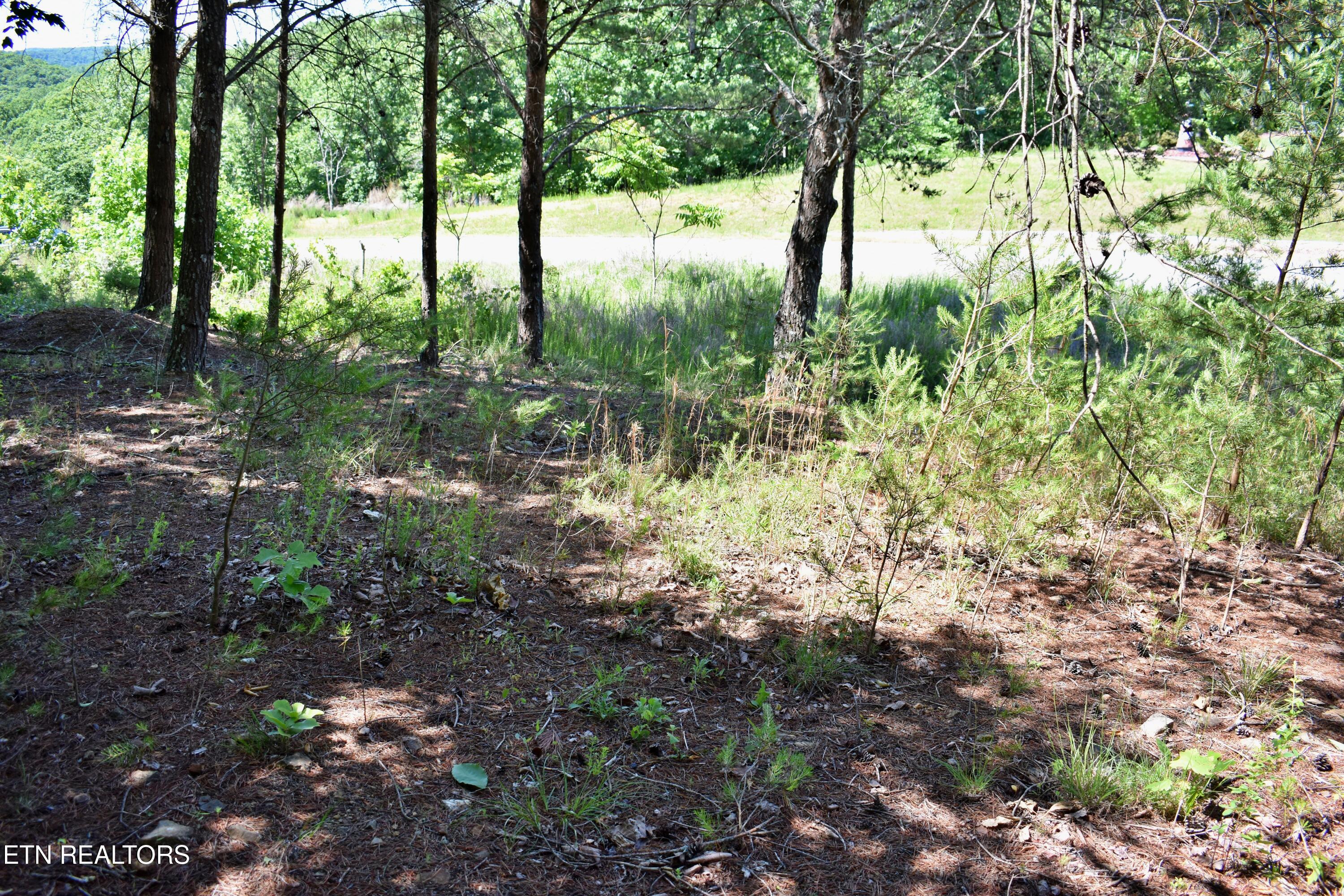 0 Flint Ridge Road Rockwood TN 37854