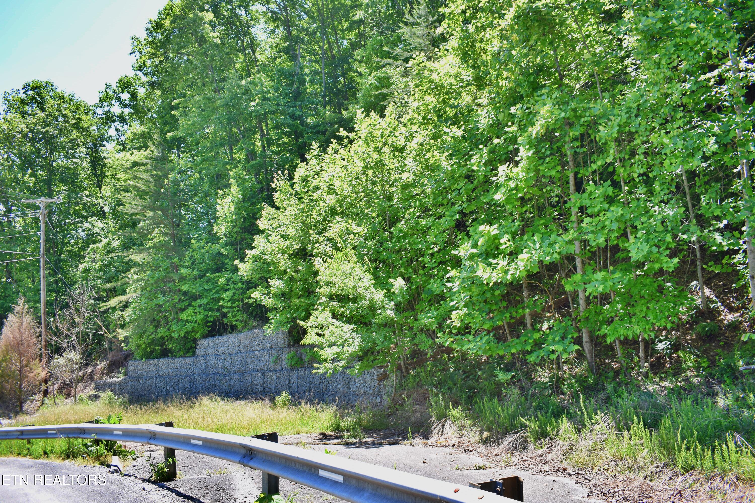 0 Flint Ridge Road Rockwood TN 37854