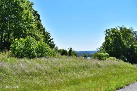 0 Flint Ridge Road Rockwood TN 37854