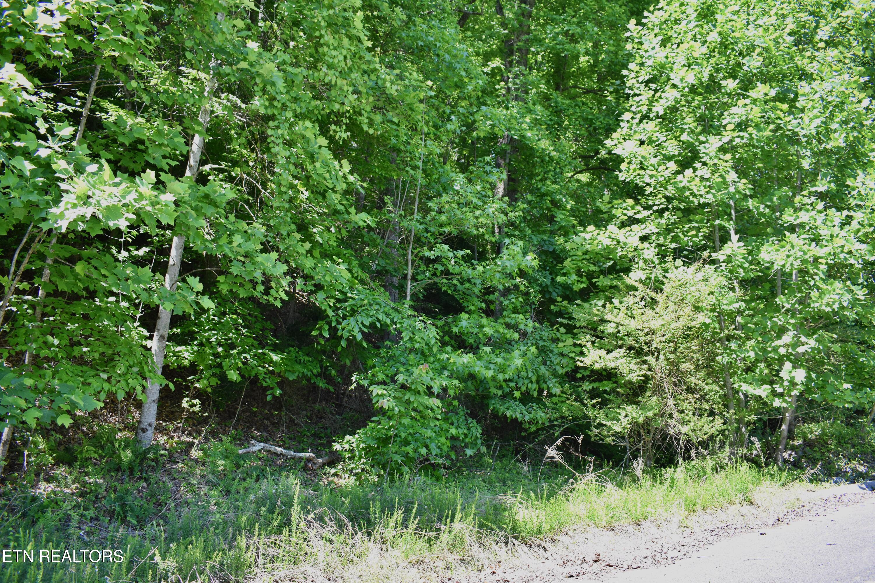 0 Flint Ridge Road Rockwood TN 37854