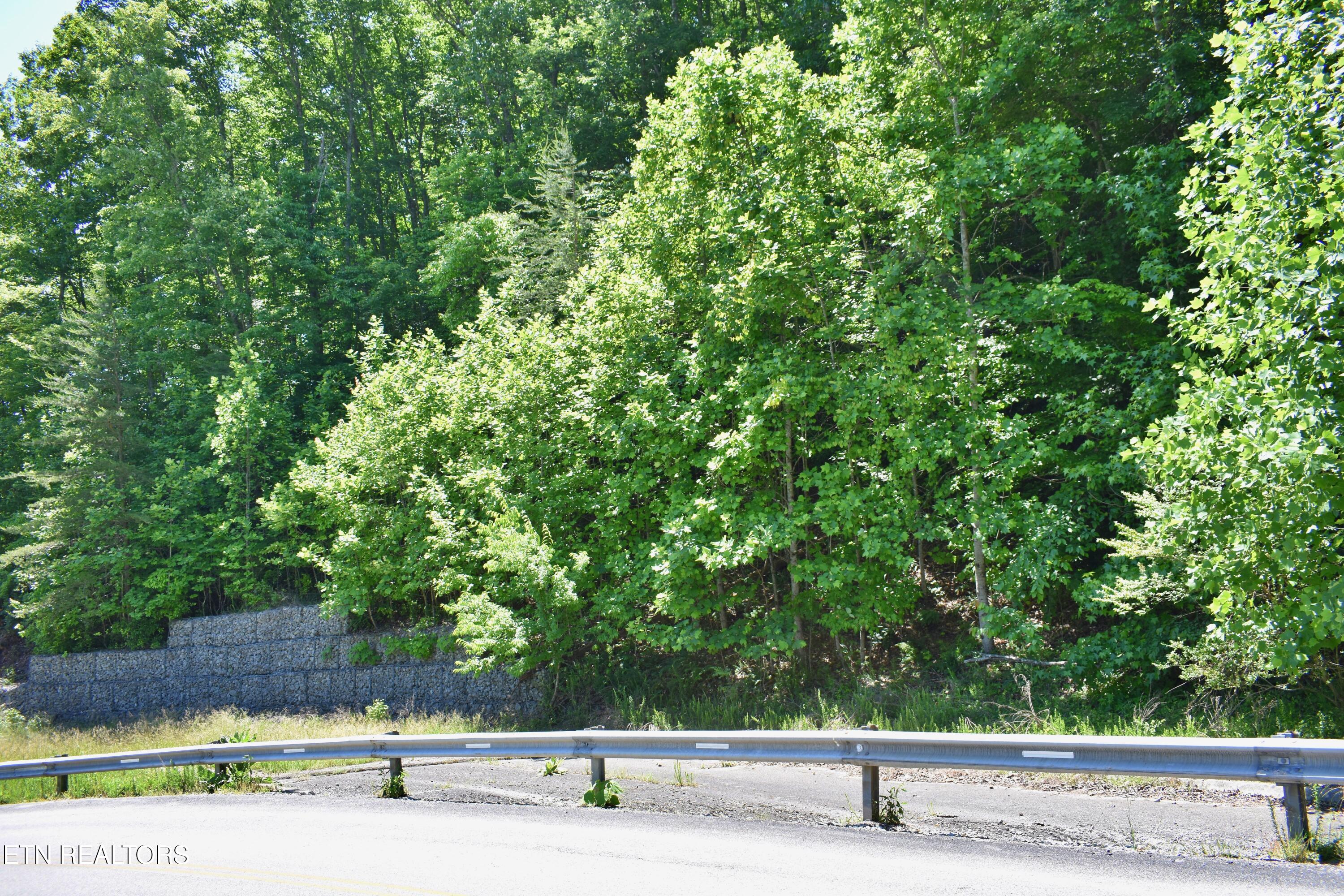 0 Flint Ridge Road Rockwood TN 37854