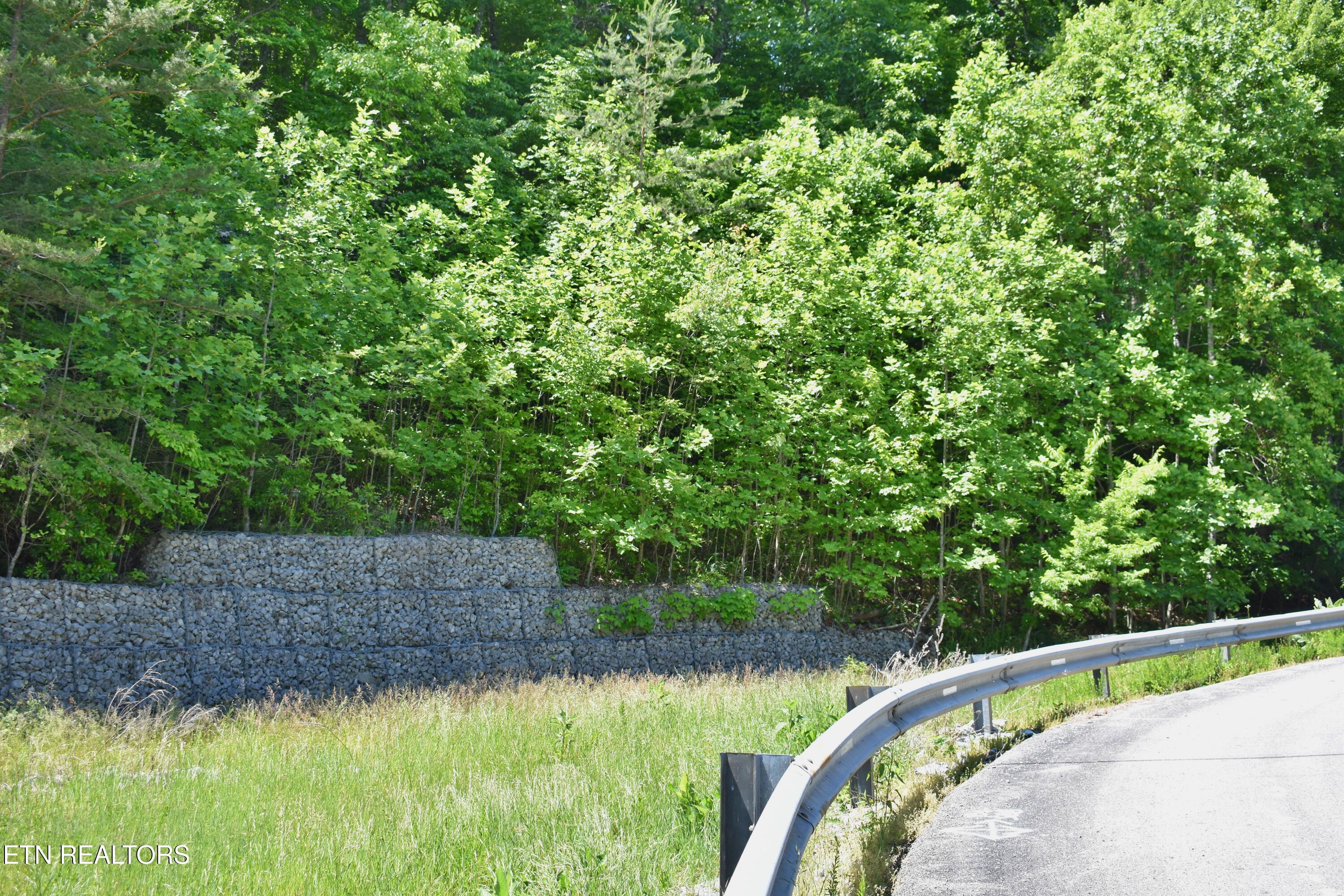 0 Flint Ridge Road Rockwood TN 37854