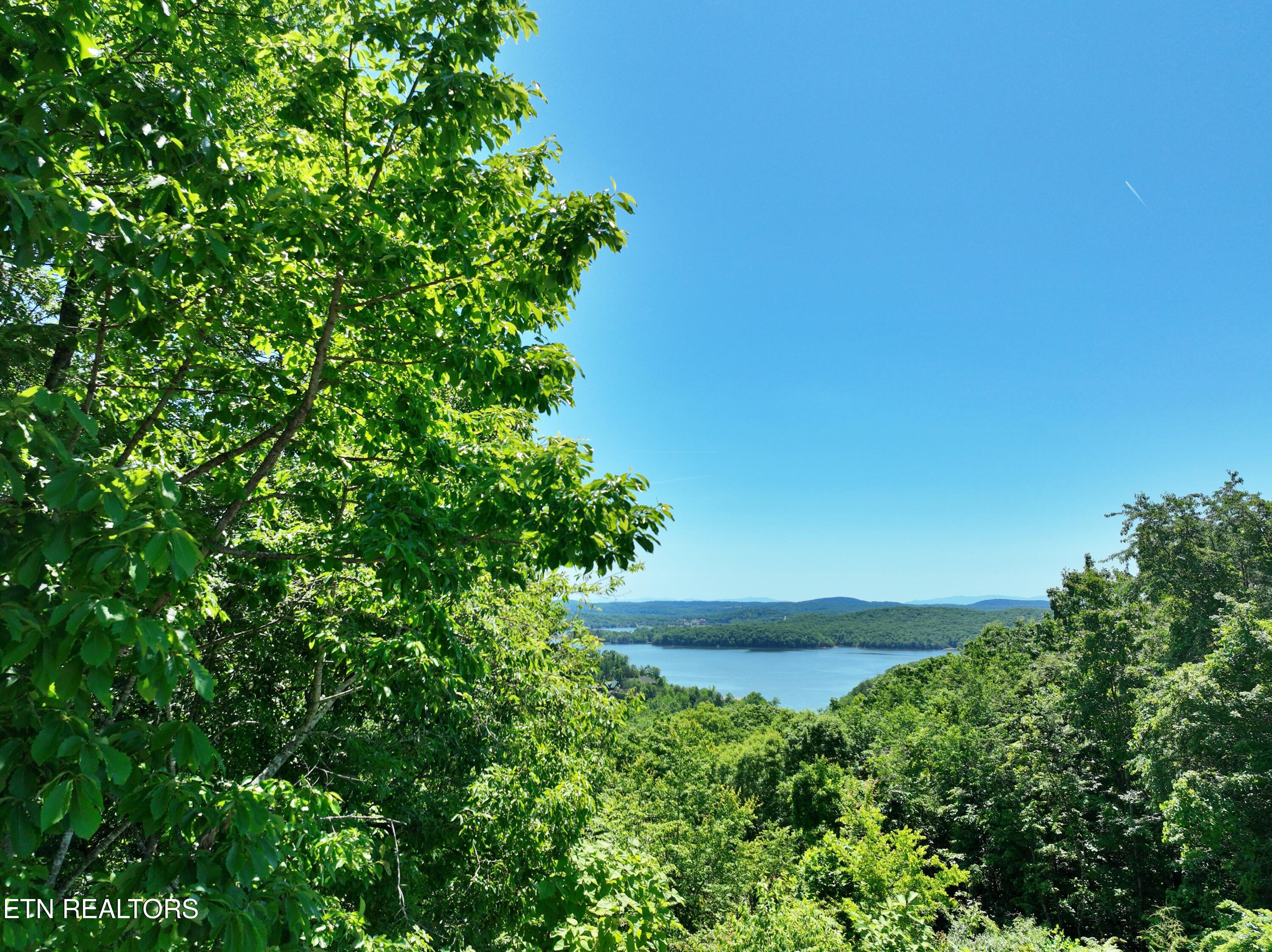 0 Flint Ridge Road Rockwood TN 37854