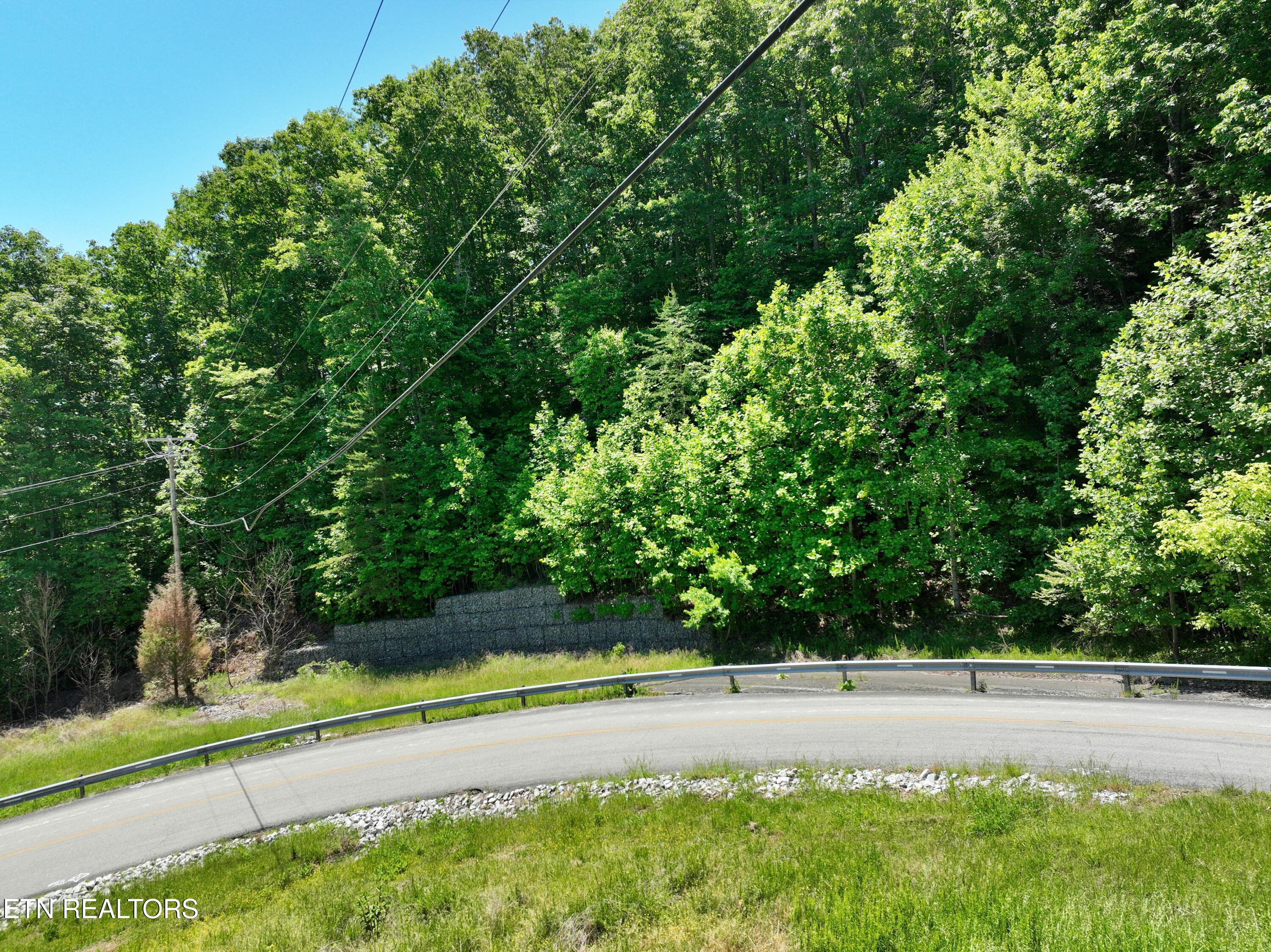0 Flint Ridge Road Rockwood TN 37854