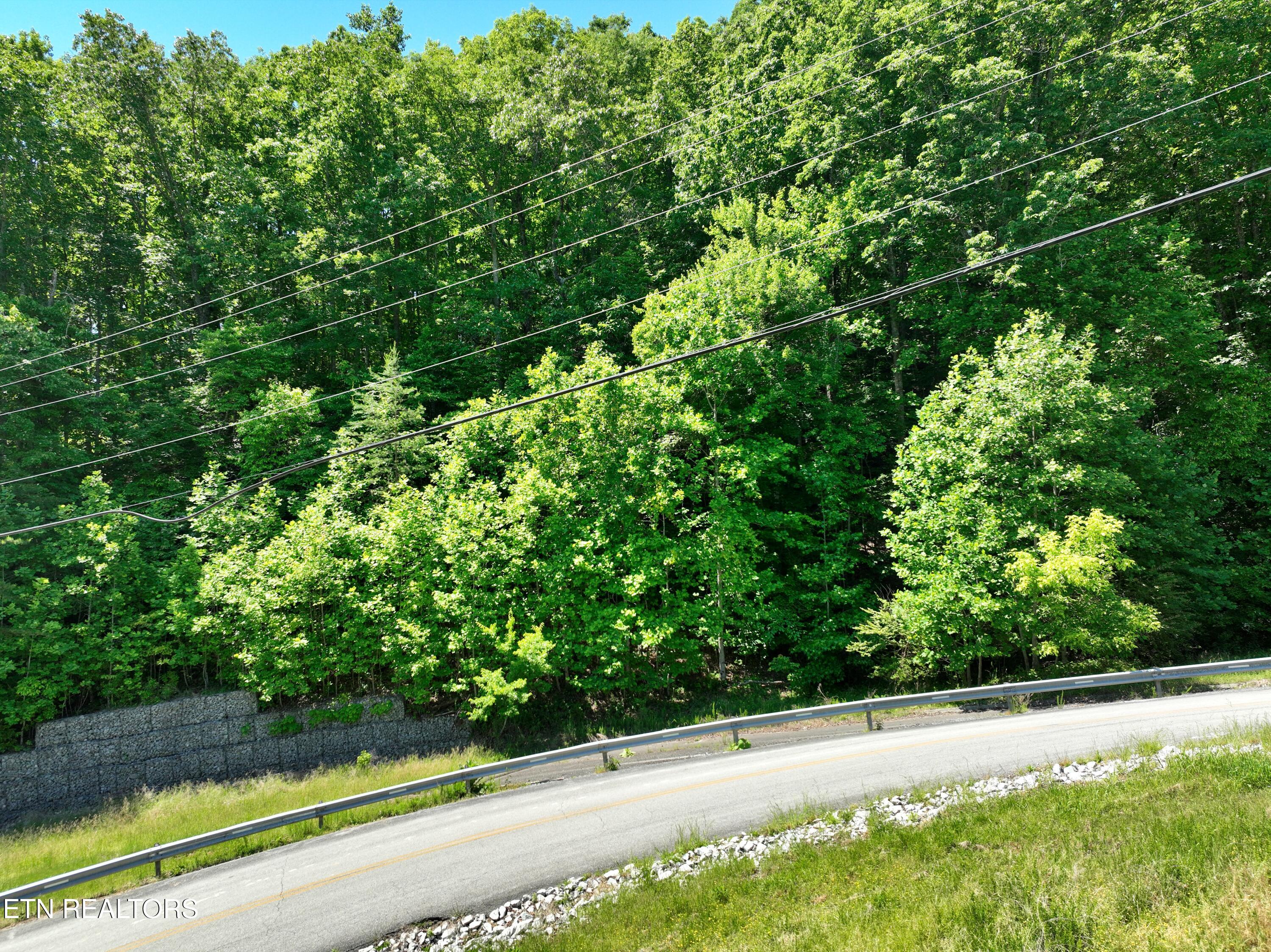 0 Flint Ridge Road Rockwood TN 37854