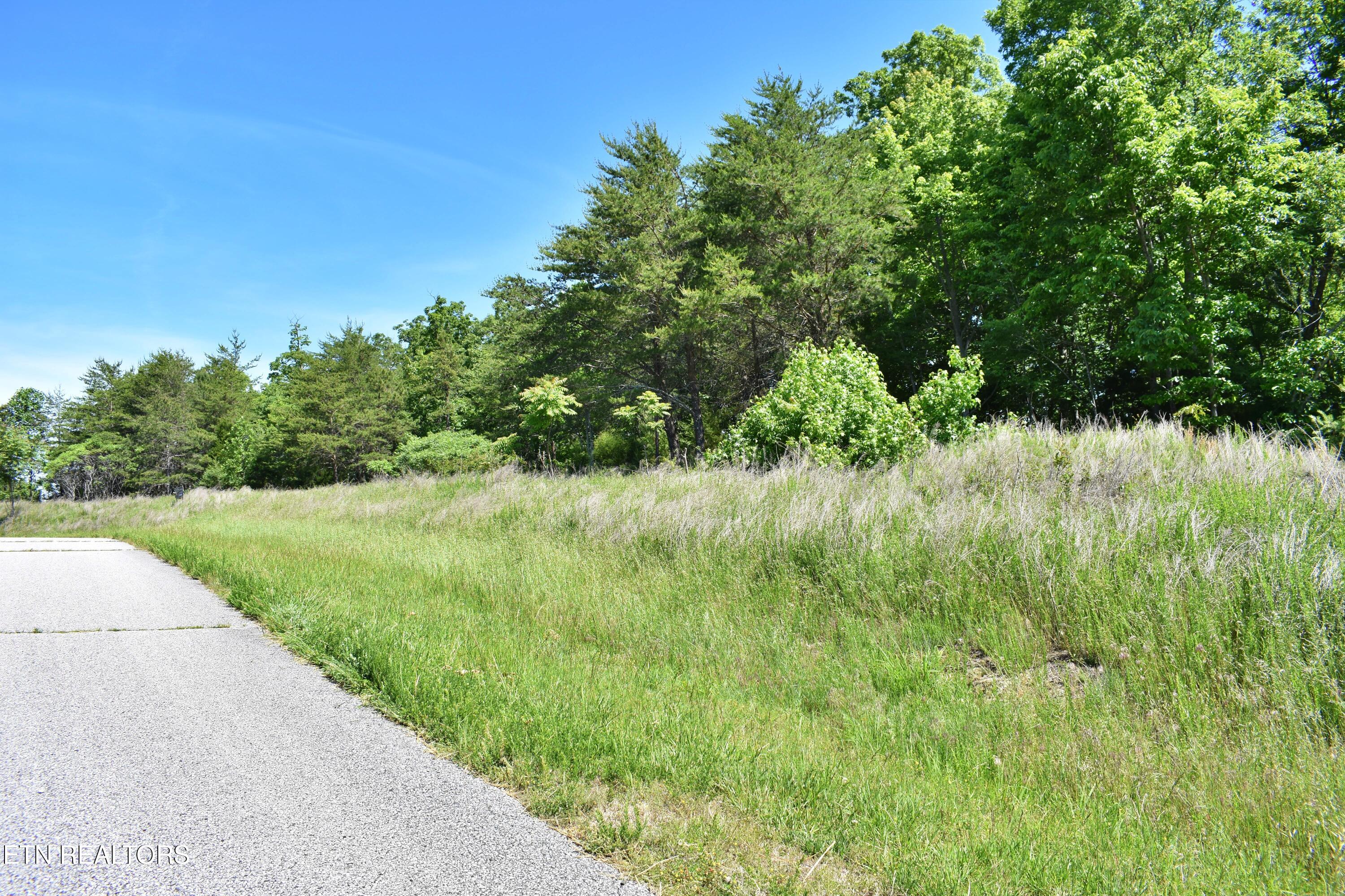 0 Flint Ridge Road Rockwood TN 37854