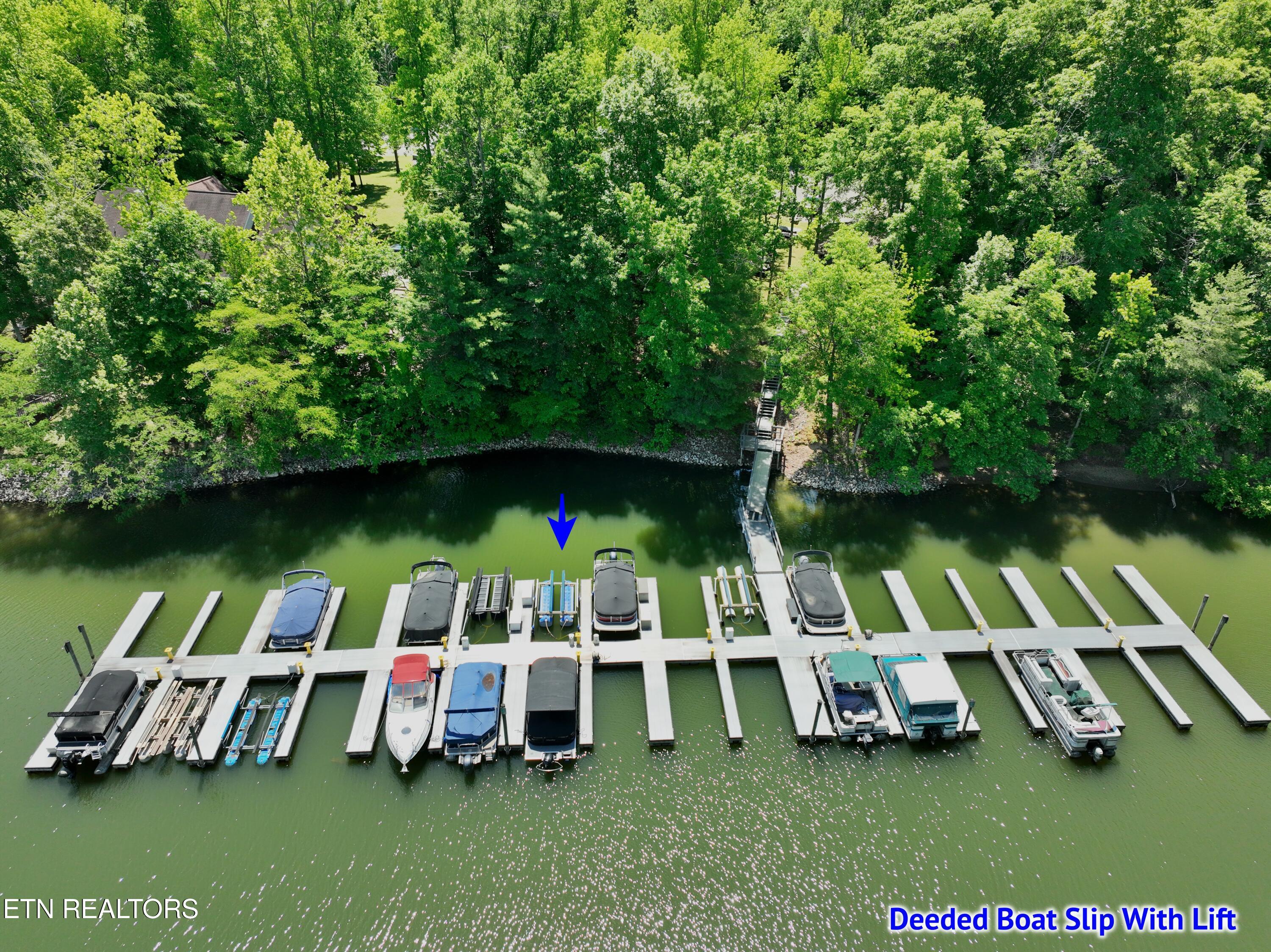 0 Flint Ridge Road Rockwood TN 37854