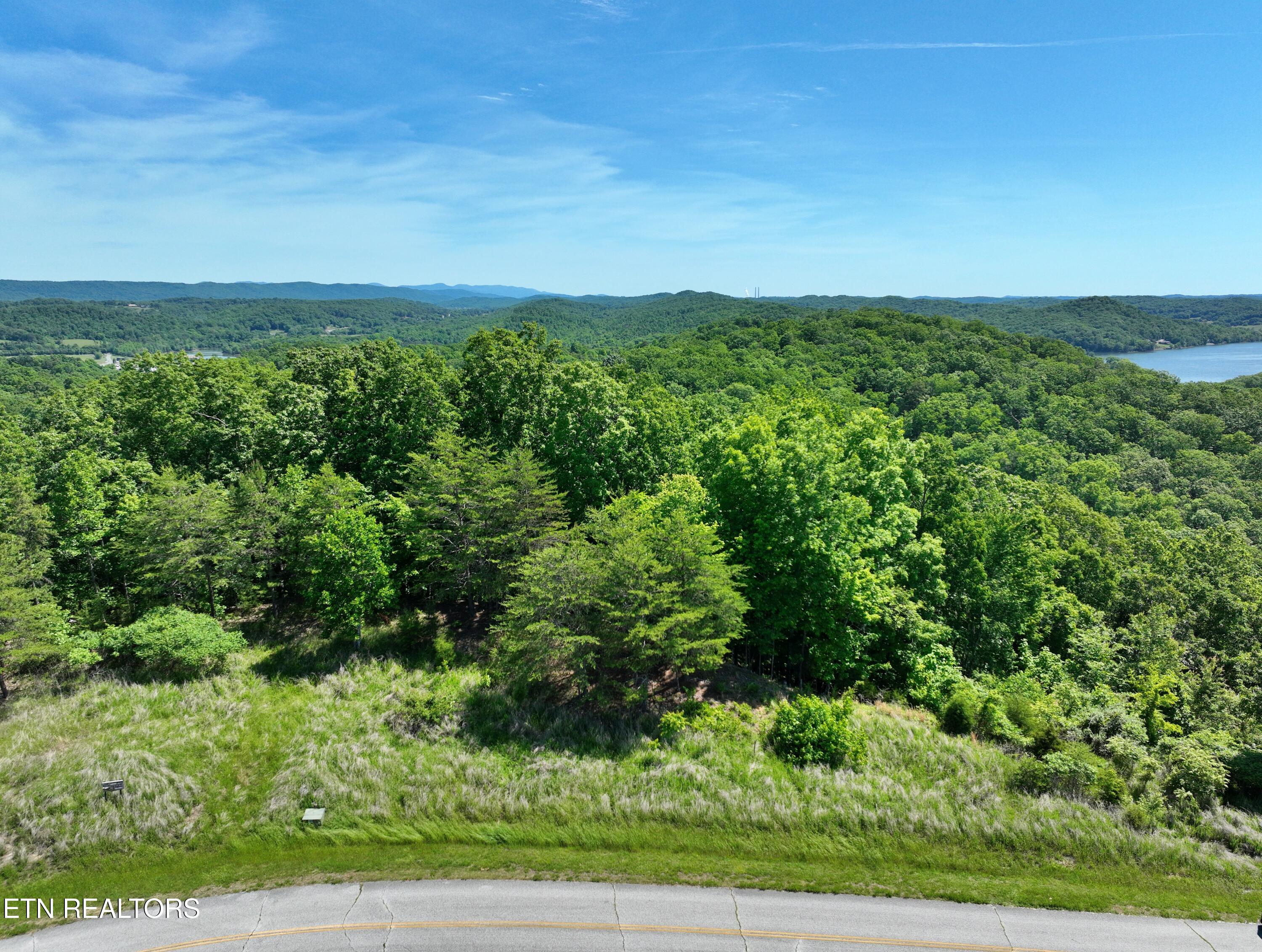 0 Flint Ridge Road Rockwood TN 37854