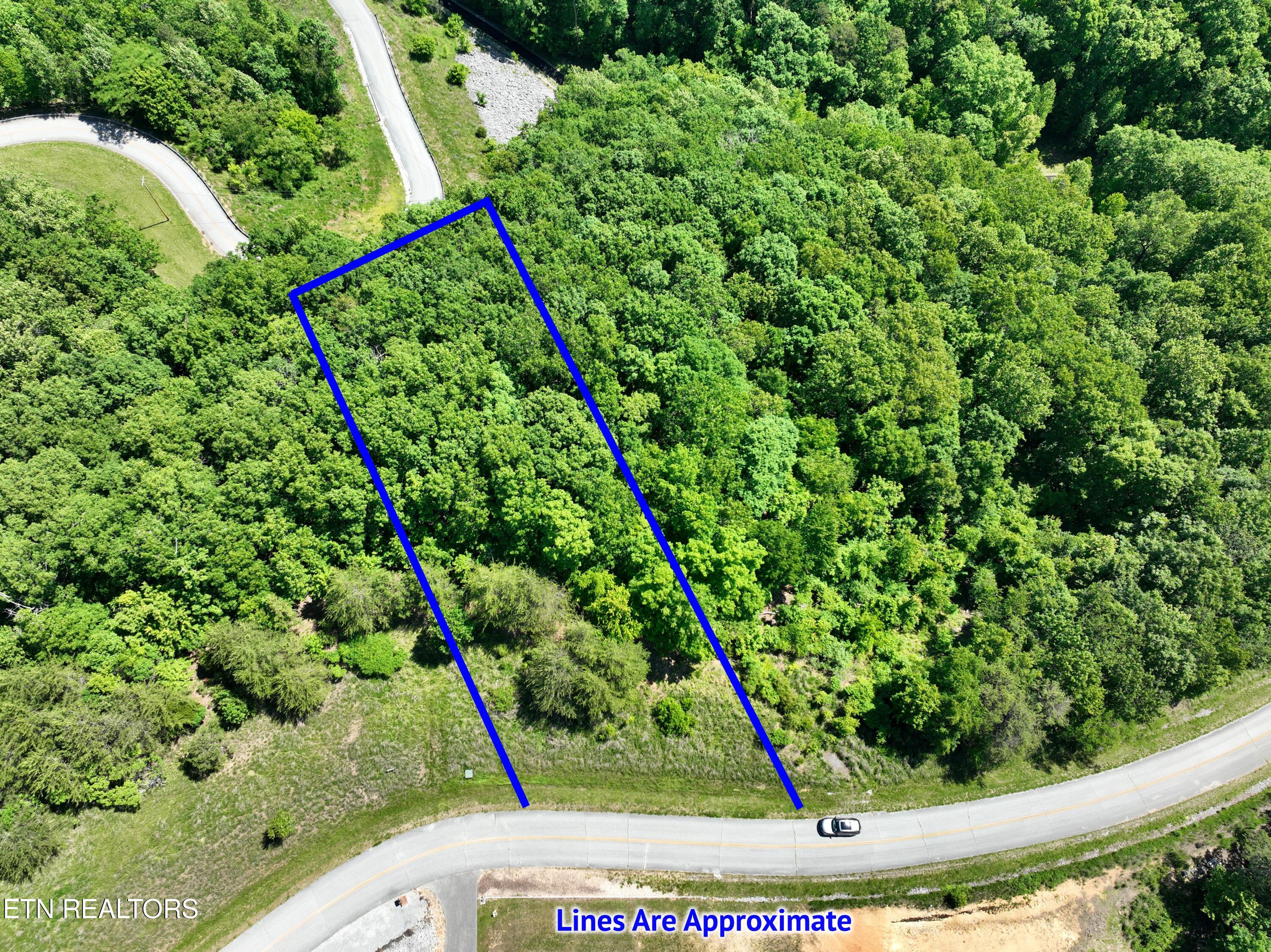 0 Flint Ridge Road Rockwood TN 37854