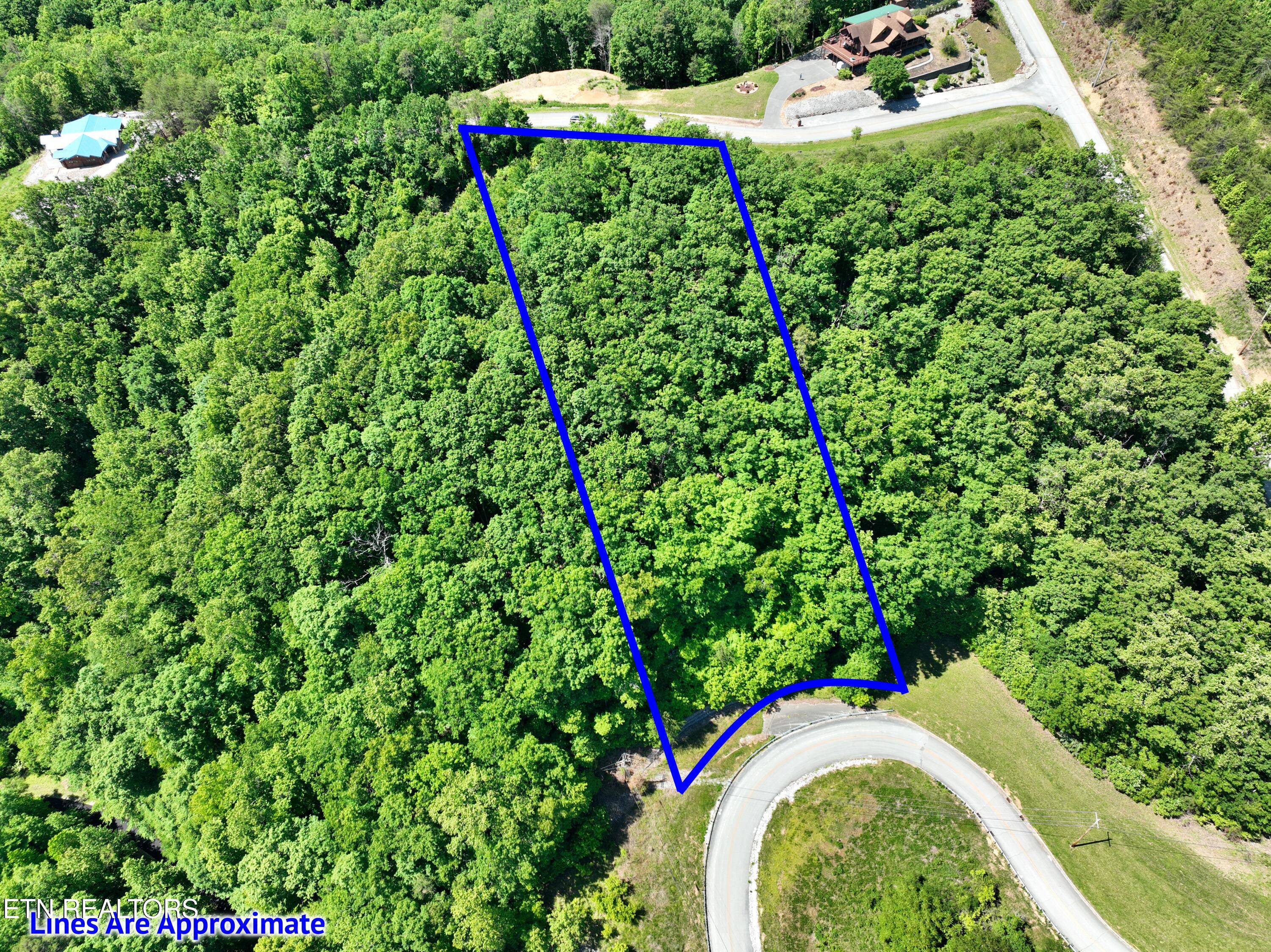 0 Flint Ridge Road Rockwood TN 37854