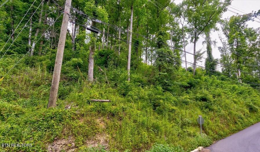 329 Silverbell Lane Gatlinburg TN 37738