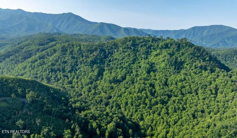 329 Silverbell Lane Gatlinburg TN 37738