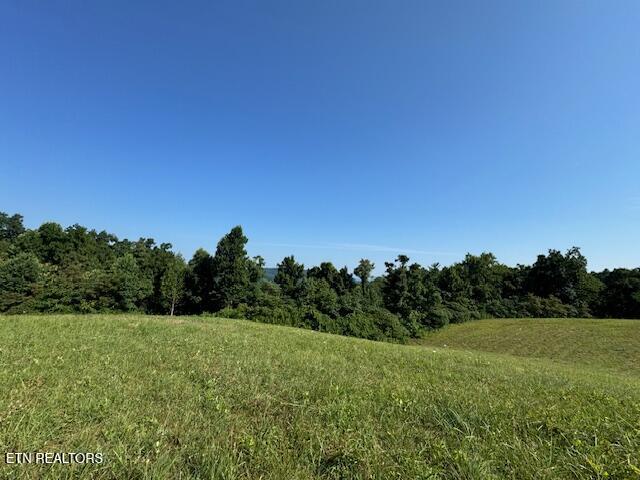 2726 Double Top Road Jamestown TN 38556