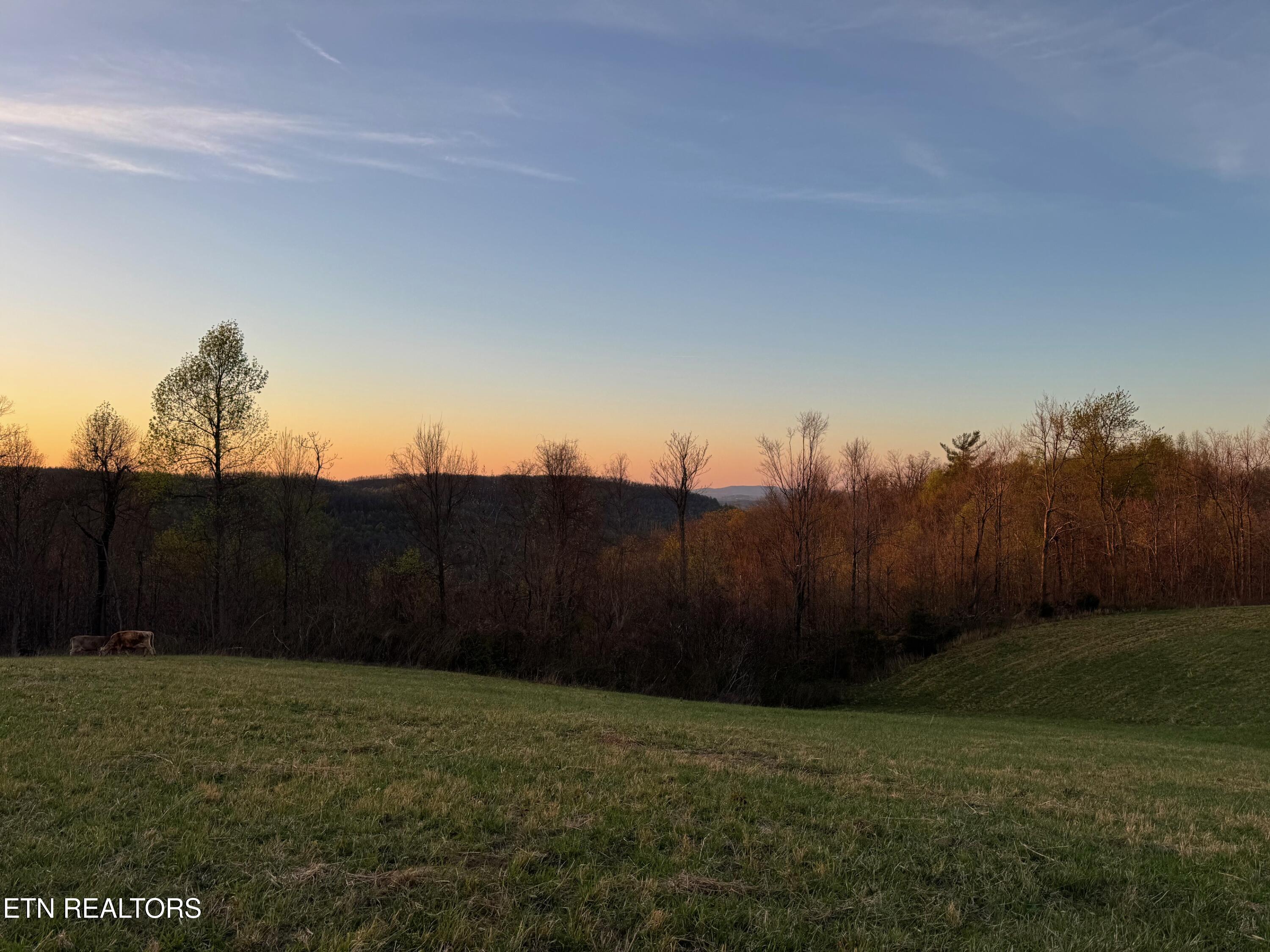 2726 Double Top Road Jamestown TN 38556