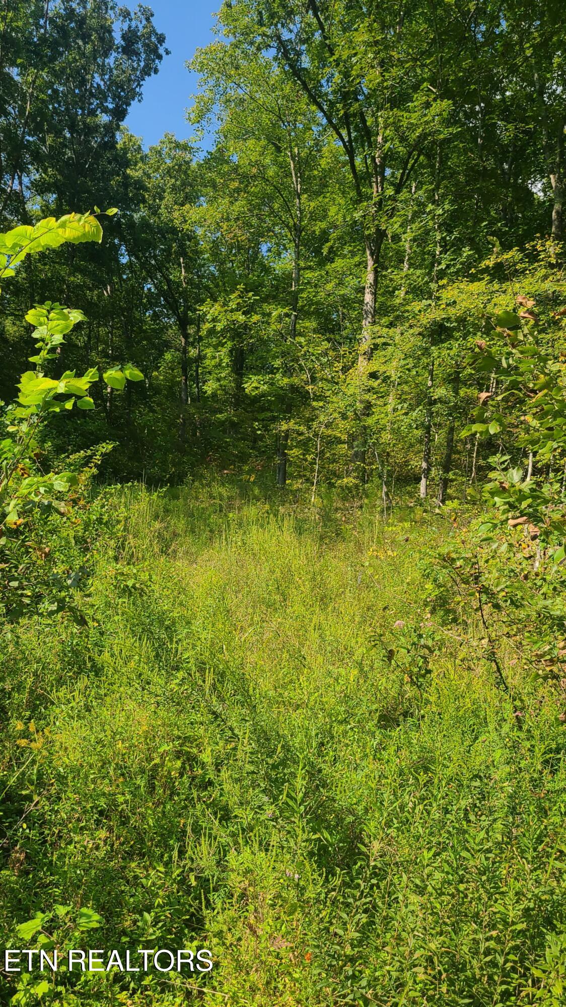 Lot 5 Mel Hall Road Maryville TN 37803